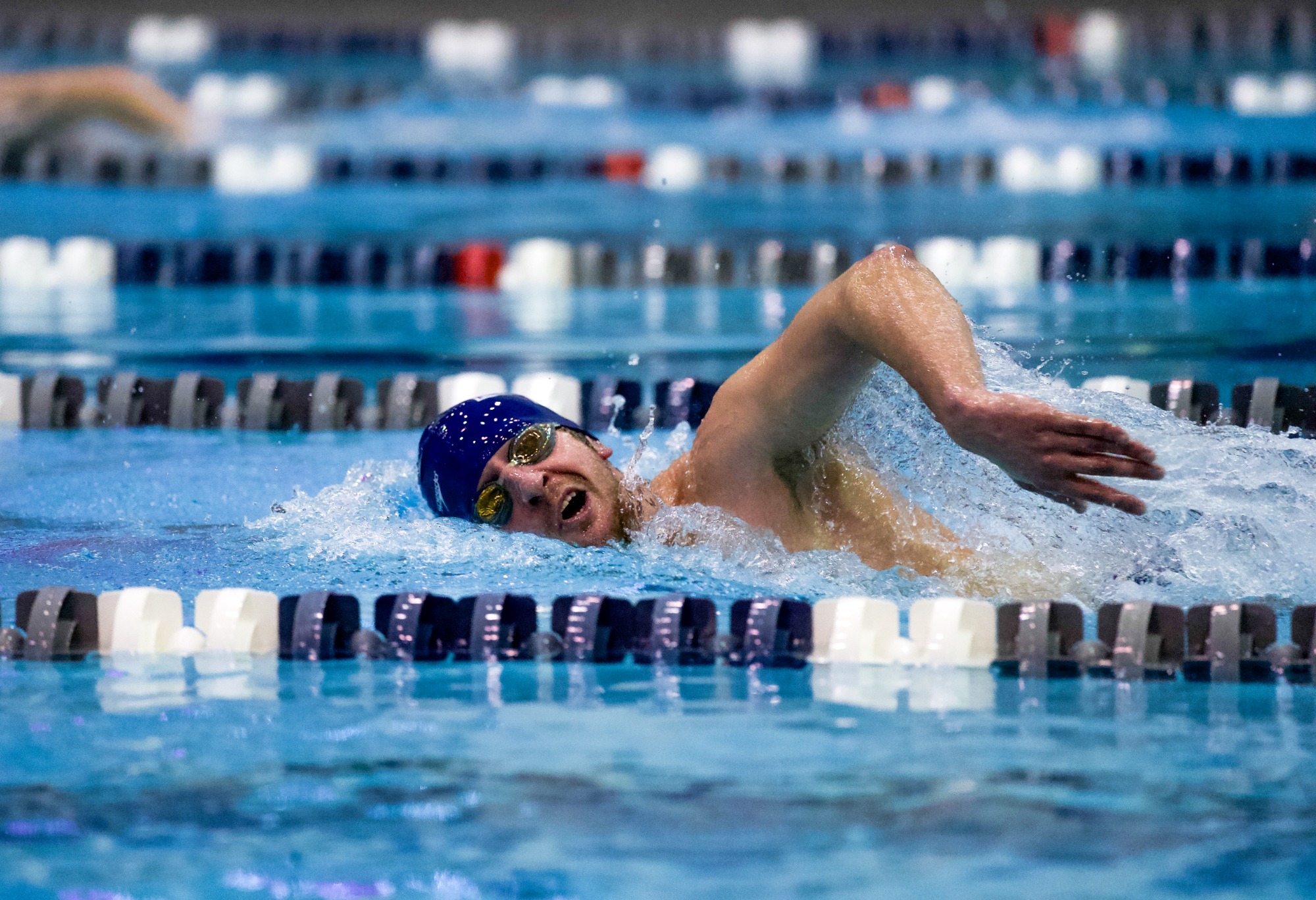SCSU Swim & Dive vs. CSI