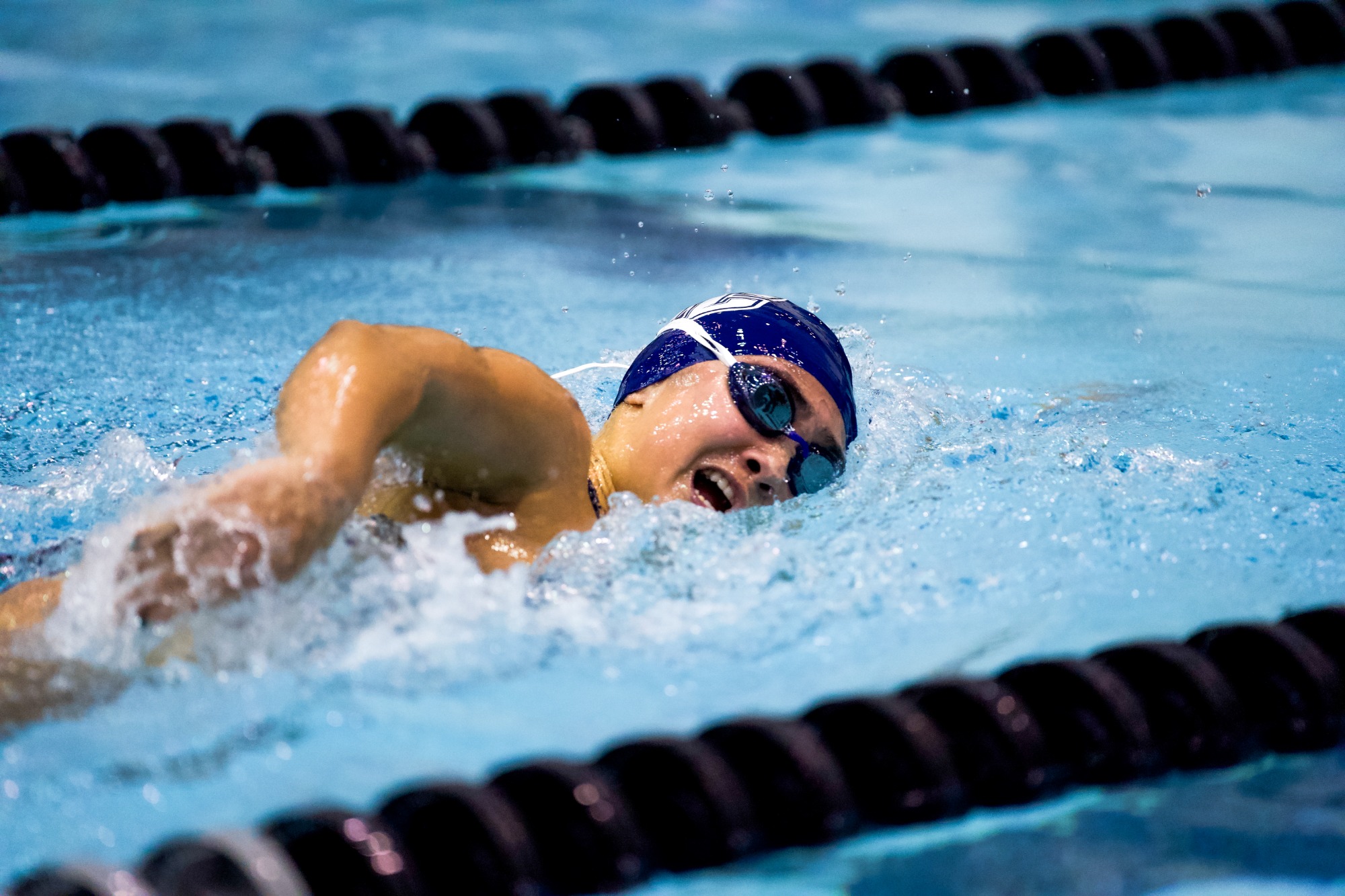 SCSU Swim & Dive vs. CSI