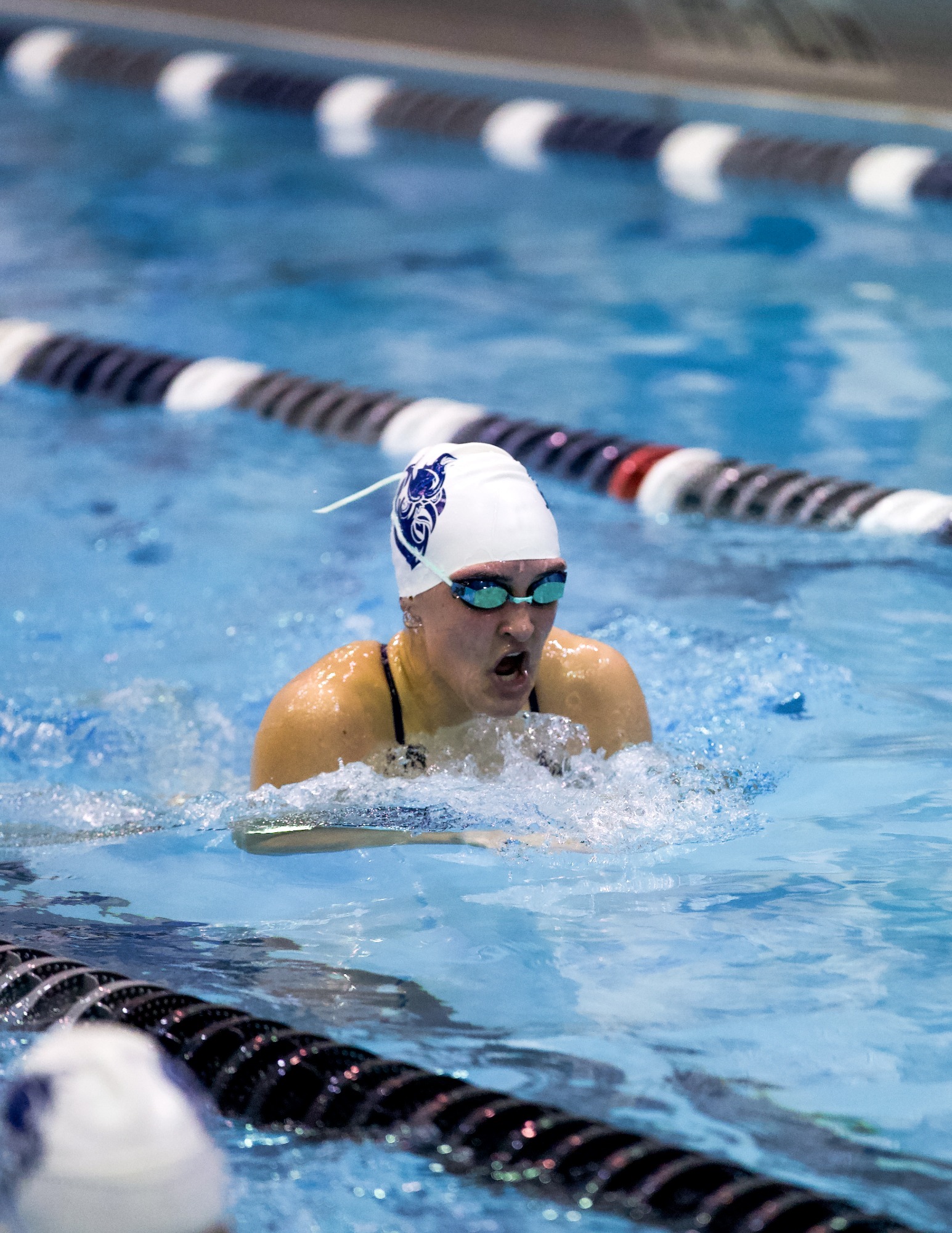 SCSU Swim & Dive vs. CSI