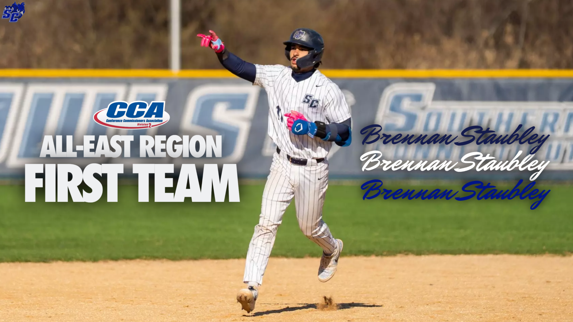 stabley all region