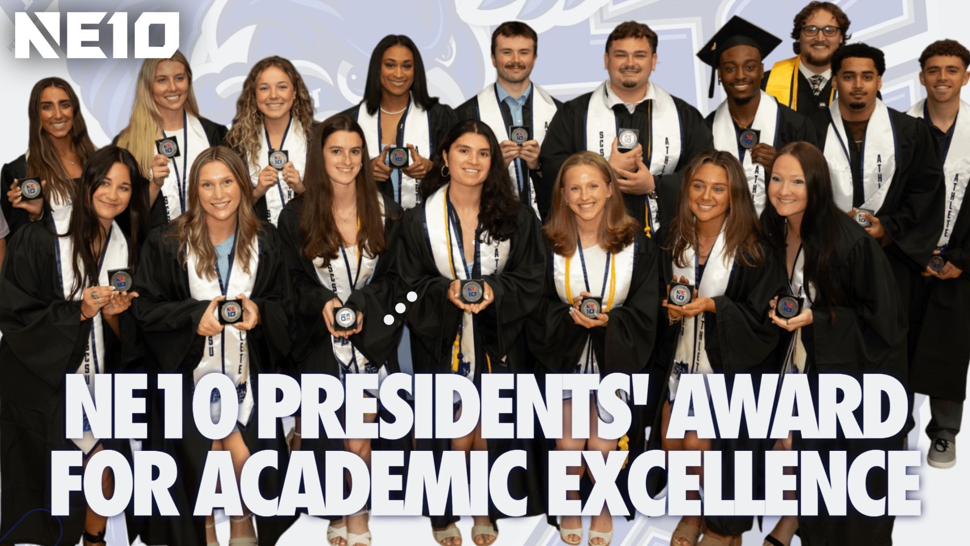 sports excellence award