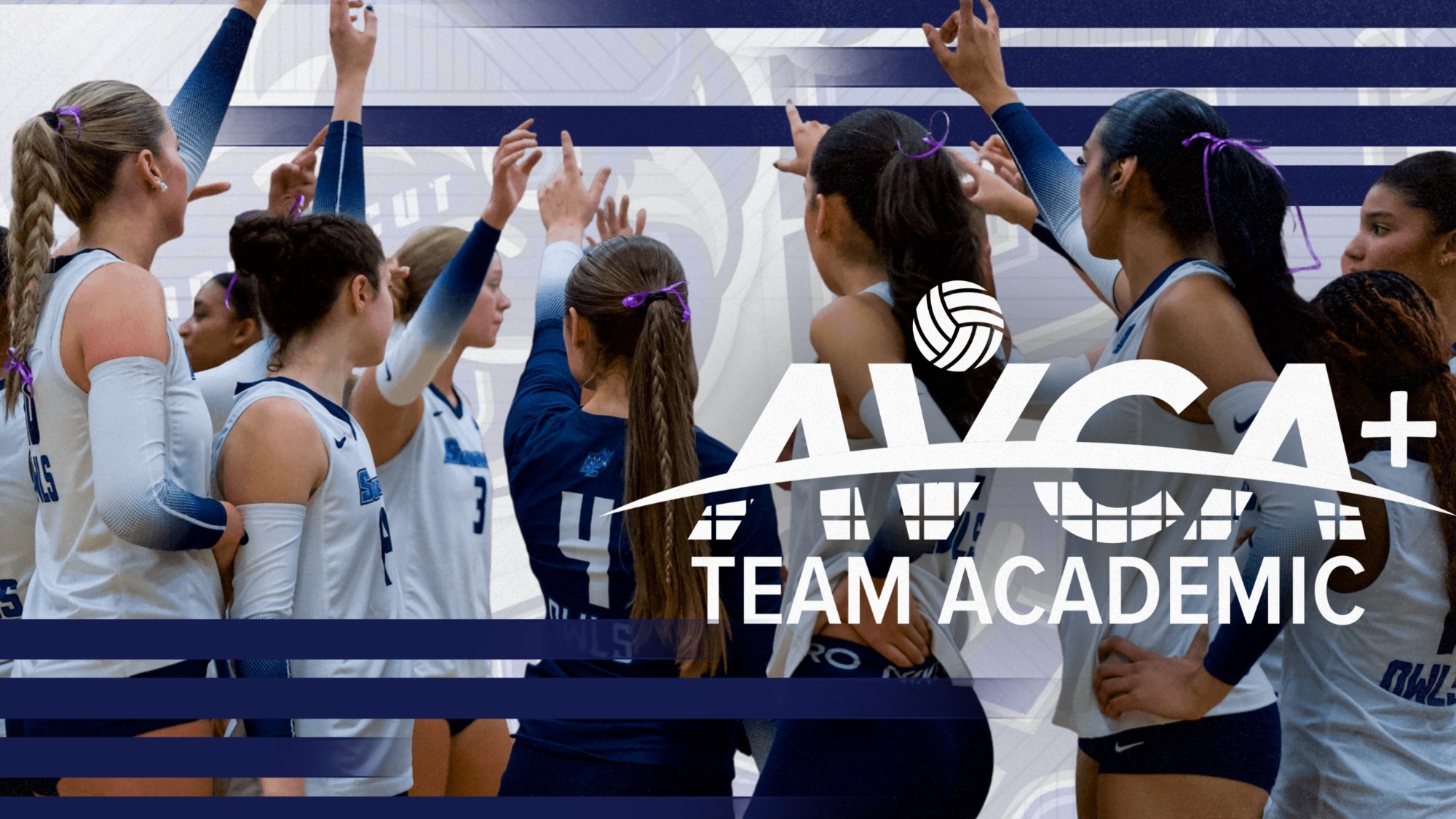 avca team academic award