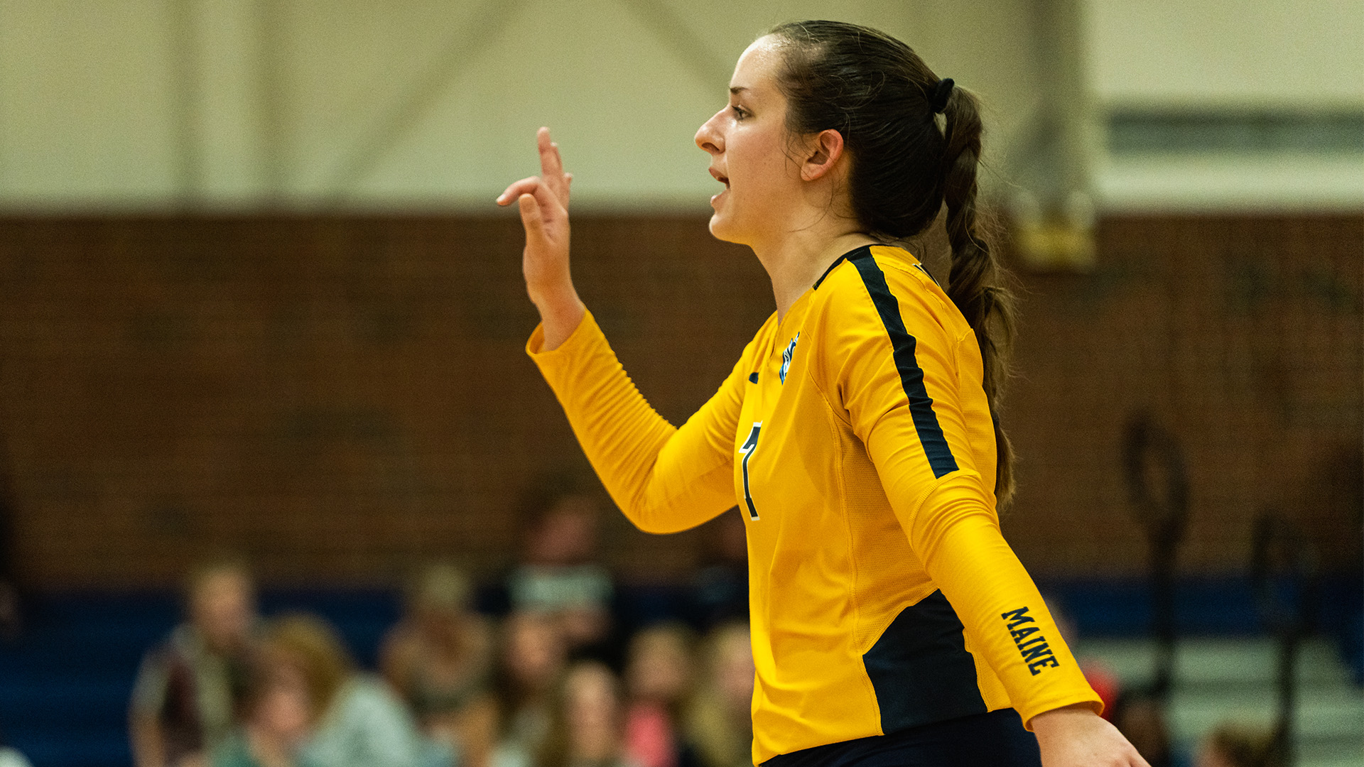 Husky Volleyball Topped by Monks 31 University of Southern Maine