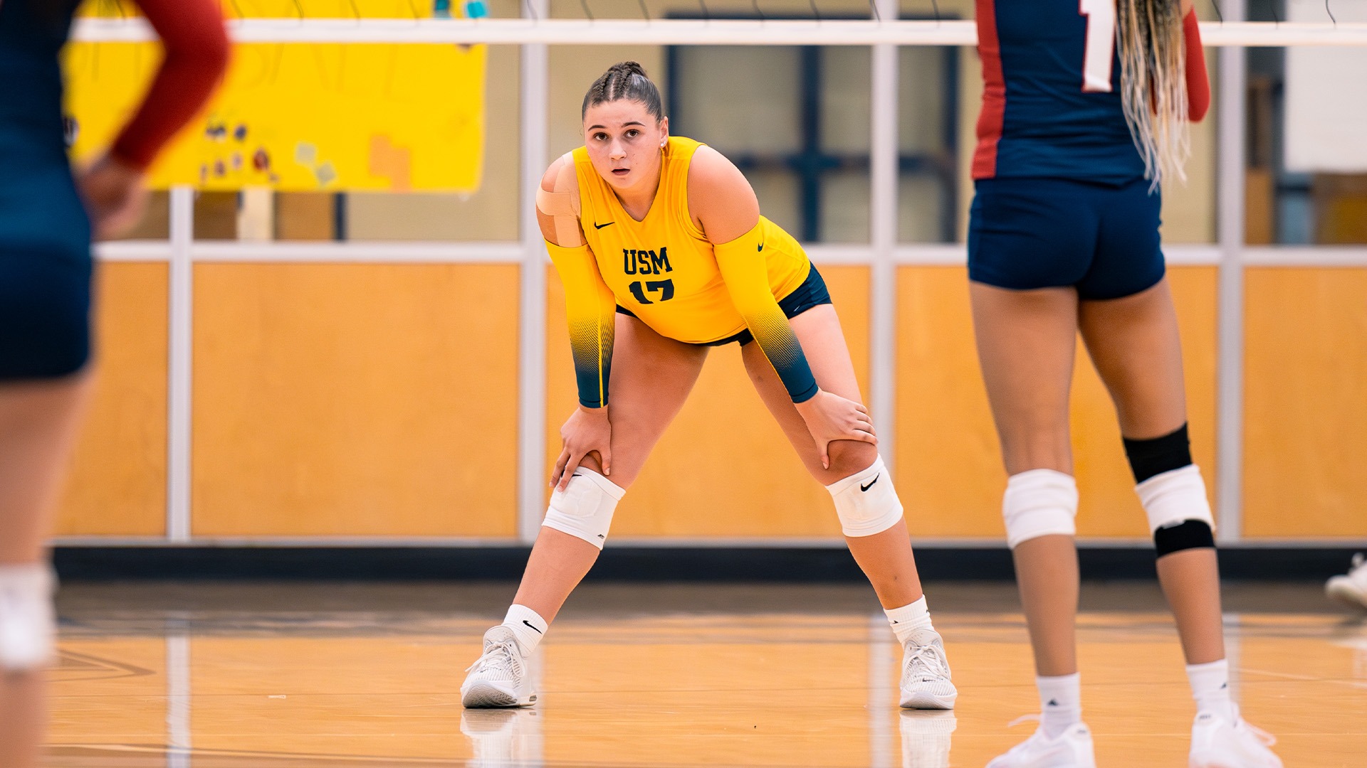 Taylor Joyal vs. NEC