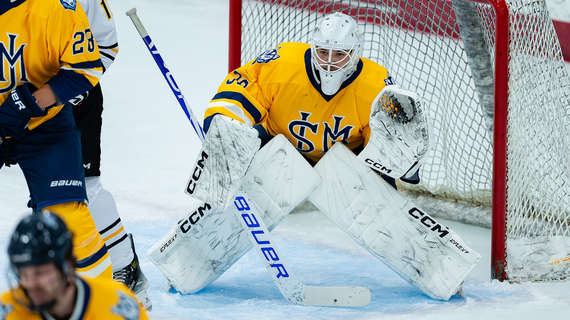 Ean Badgett vs. Wentworth