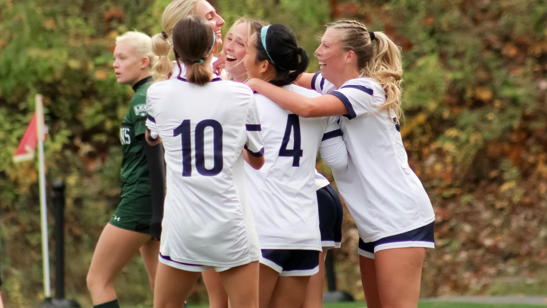 Team Celebrates a Goal