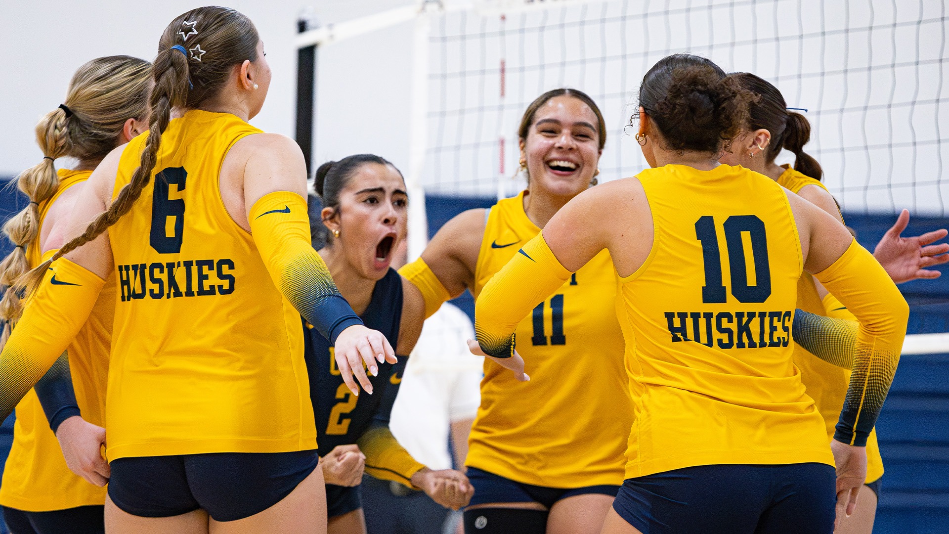 Women's Volleyball Celebrates in Huddle