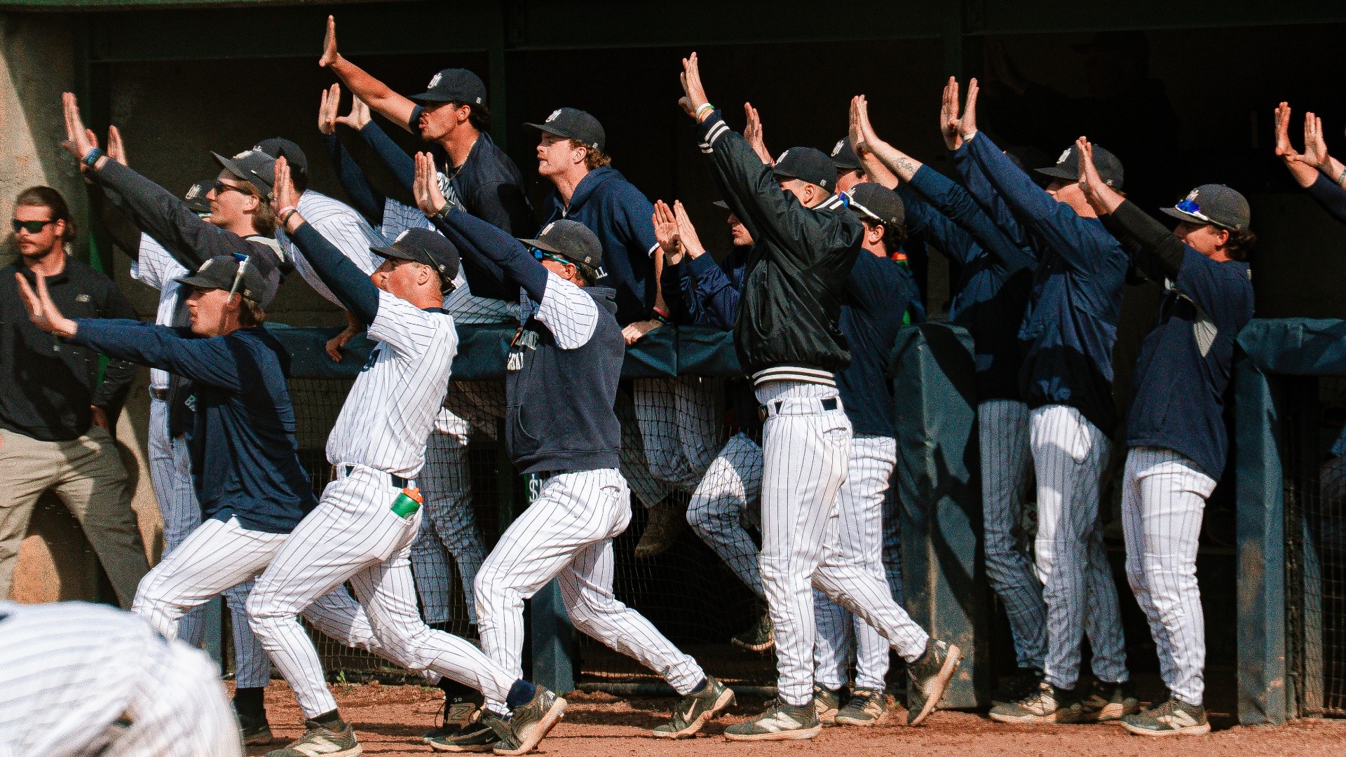 Huskies' Baseball Celebrates a Hit from the Dugout