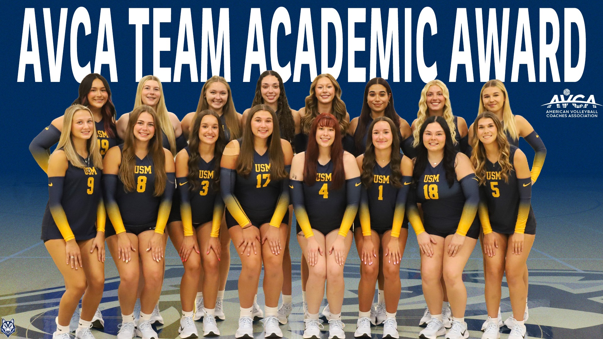 Women's Volleyball AVCA Team Academic Award Header