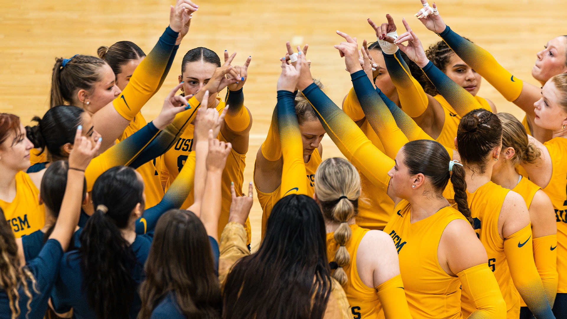 University of Southern Maine Women's Volleyball Huddles with Dawgs Up Sign