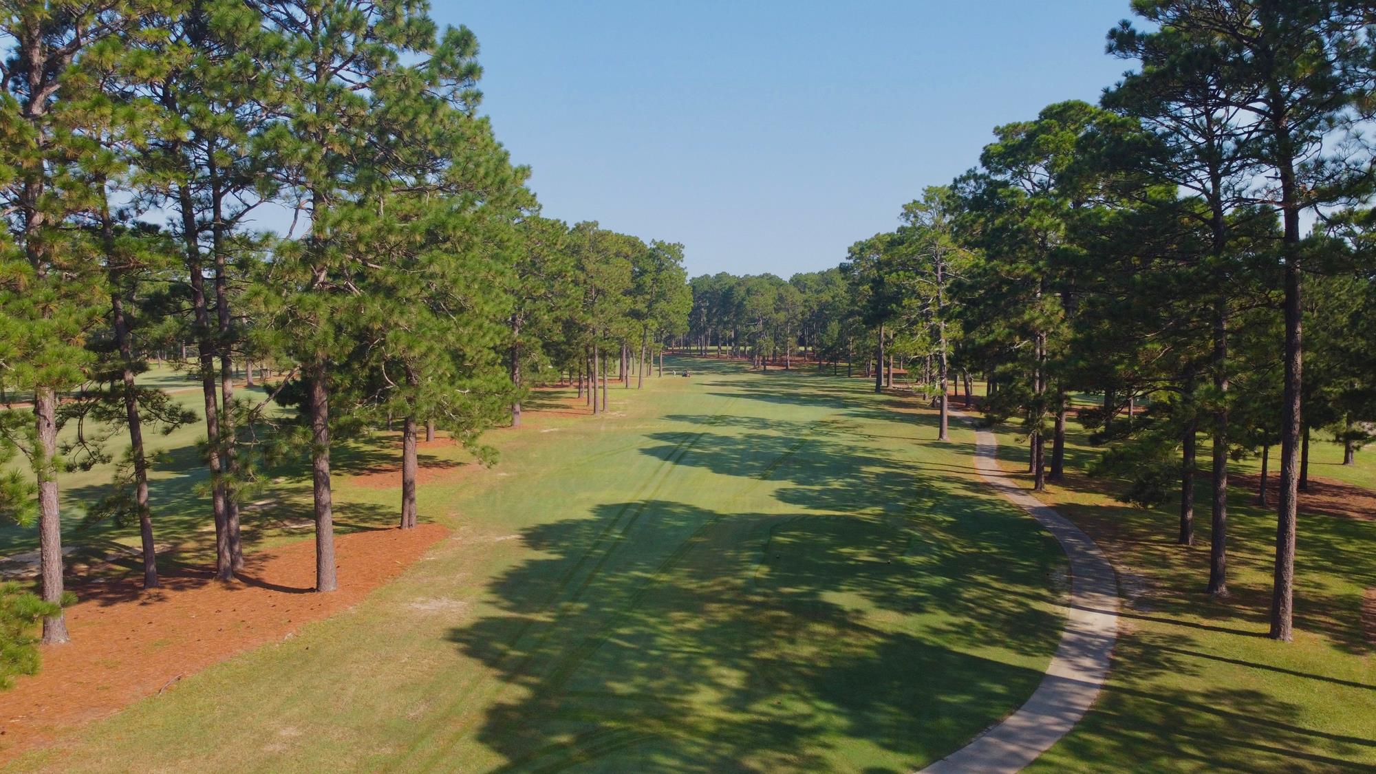 Men's Golf Finishes 12th at Mossy Oak Collegiate Behind Play from