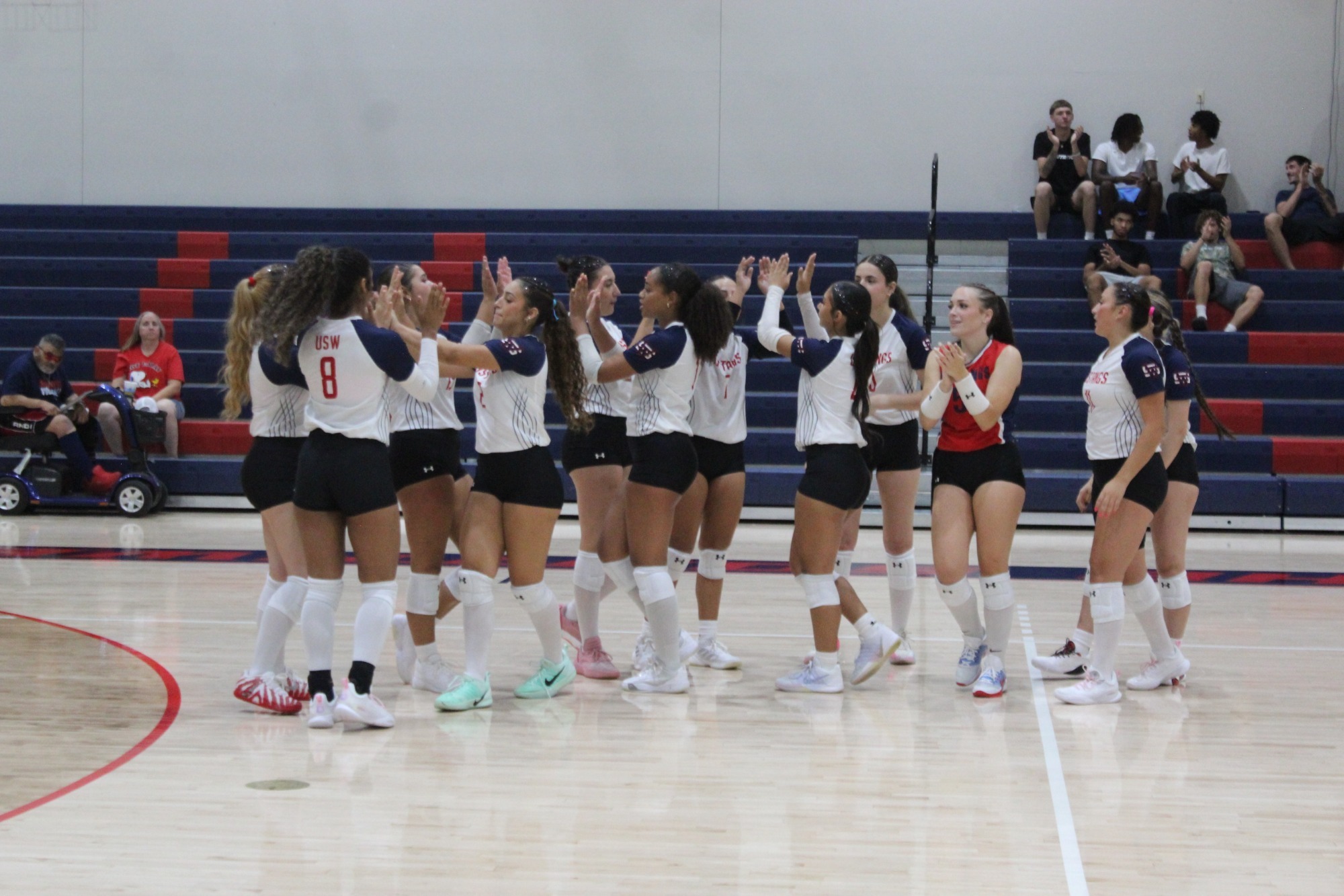 Volleyball