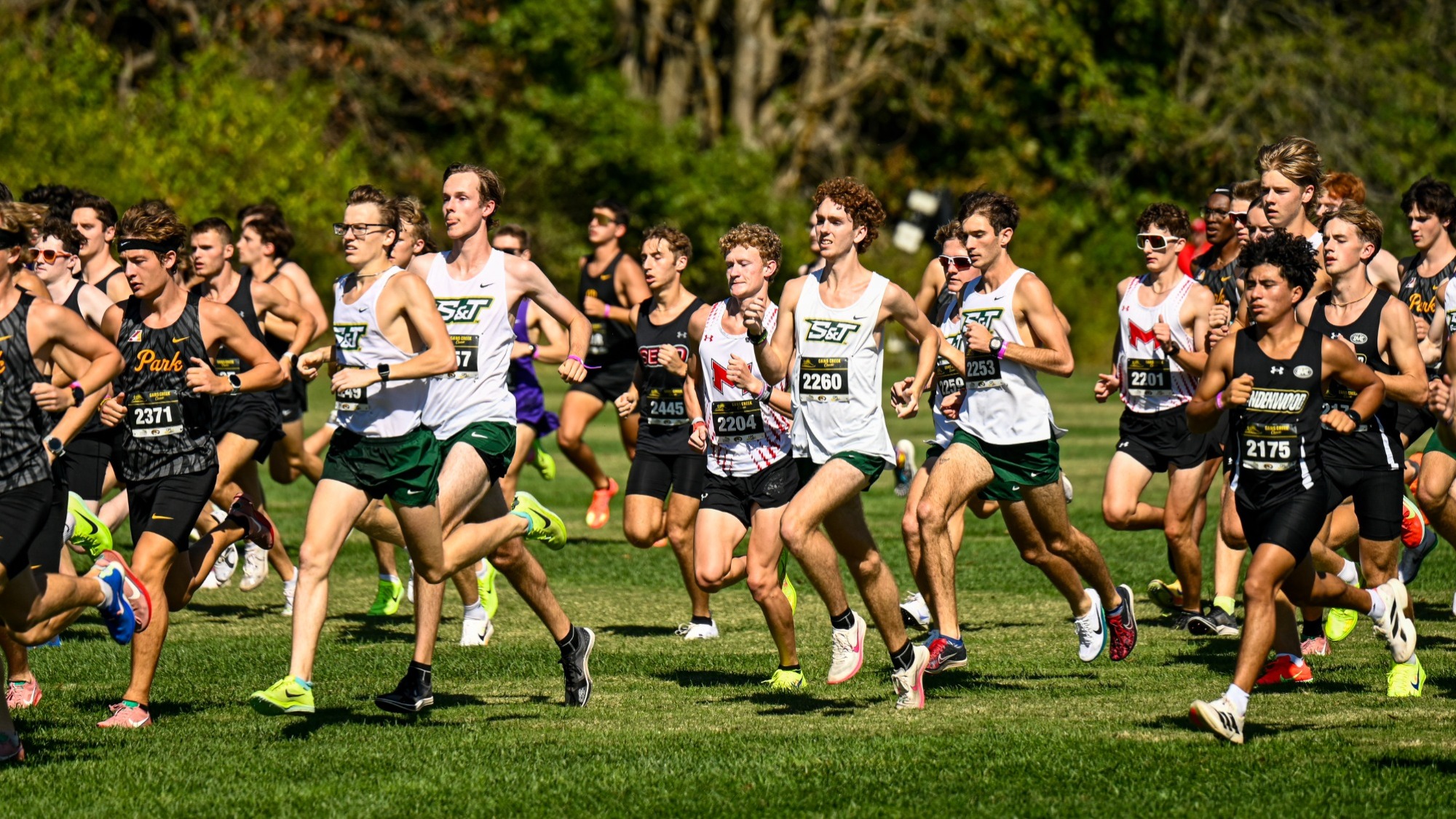 Men's Cross Country