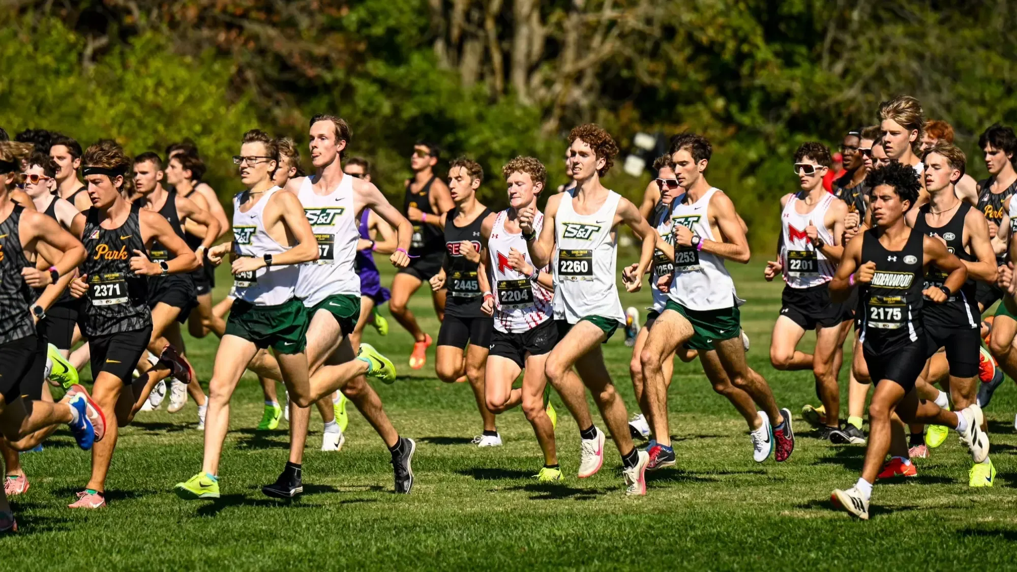 Missouri S&T Men's Cross Country runners running the Gans Creek Classic at Mizzou.