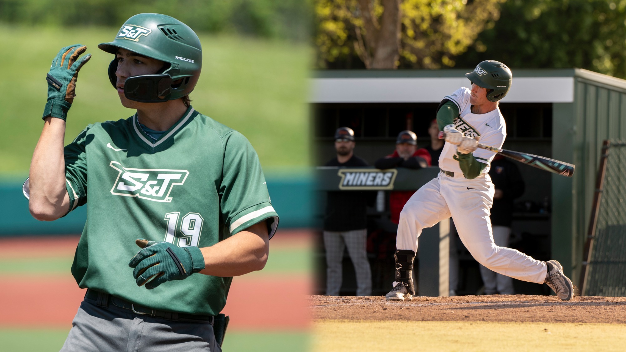 A split image features two Missouri S&T baseball players in game action. On the left, Drew Baugus stands on the field wearing a green Missouri S&T jersey with the number 19, a green batting helmet, and batting gloves. He raises his left hand toward his helmet while looking off to the side, appearing focused between plays. On the right, Will Beckham is shown mid-swing at the plate wearing a white Missouri S&T uniform and green helmet. His body is rotated through the follow-through of his swing, with the bat extended and the dugout visible behind him, including teammates watching from inside.