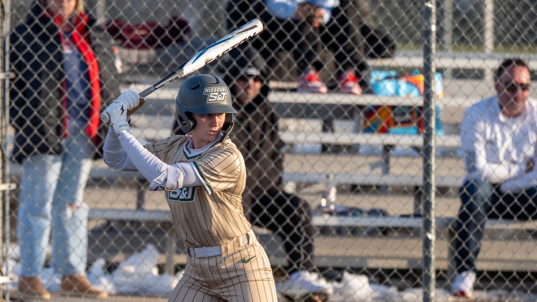 Missouri S&T softball player Trista Grobe stands at bat with her bat ready to swing as she awaits the pitch. She wears a gold jersey with green pinstripes and a batting helmet
