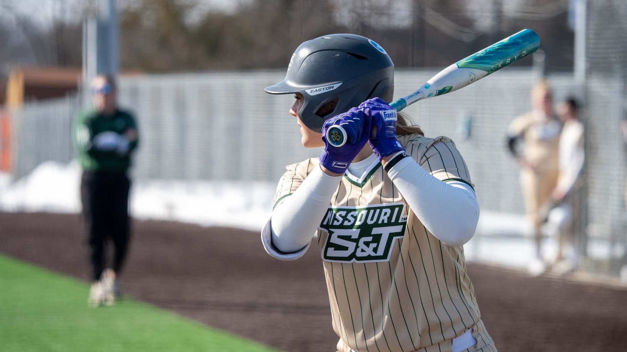 Missouri S&T softball athlete Morgan Williams wearing a gold uniform with green pinstripes stands at bat with the softball bat over her shoulder while wearing a batting helmet and waiting for the pitch