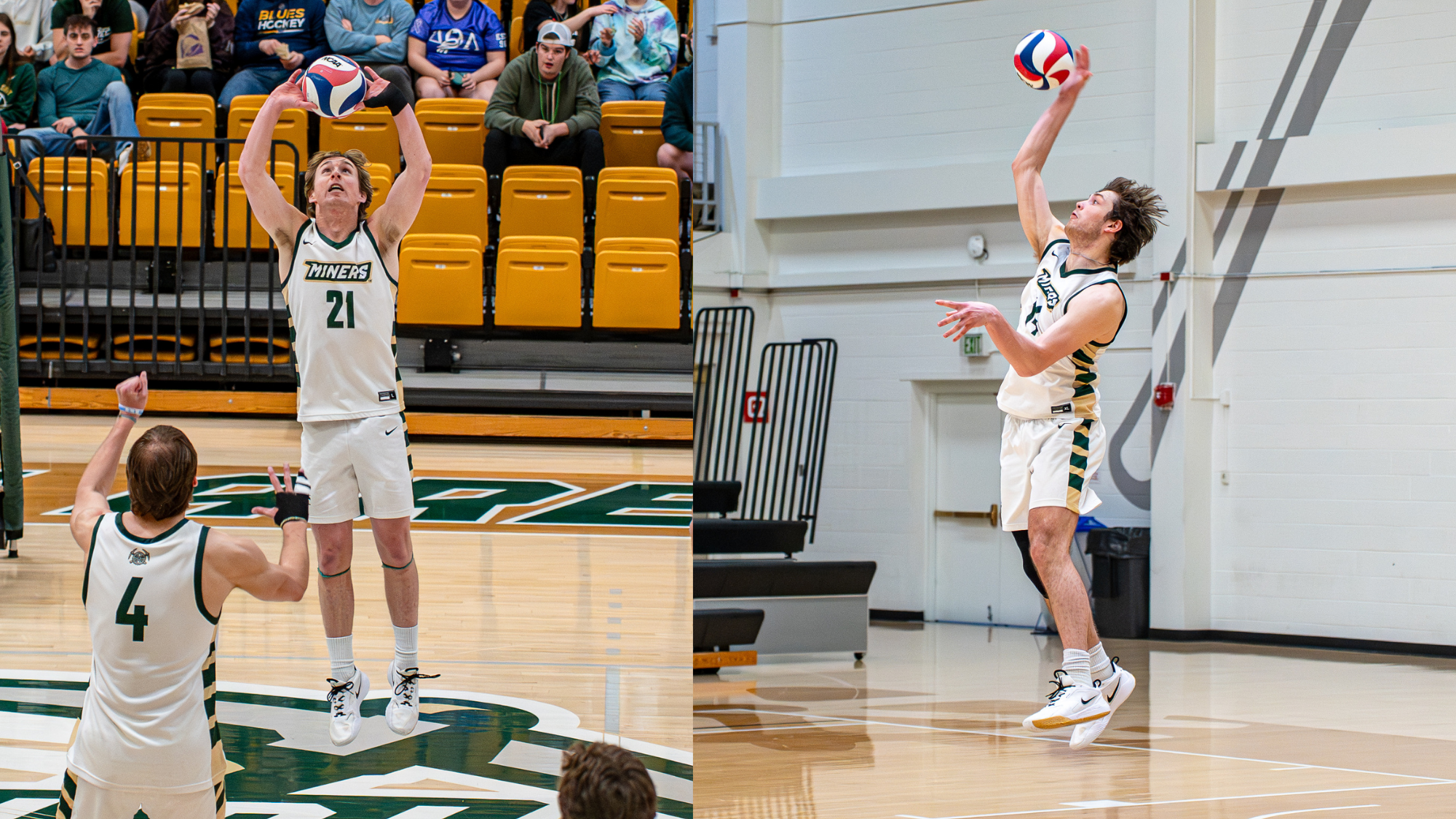 Split image featuring two Missouri S&T men’s volleyball players in white Miners jerseys: on the left, setter Grant Edmonds jumps to set the ball, and on the right, Aaron Sallade elevates to serve during a match.