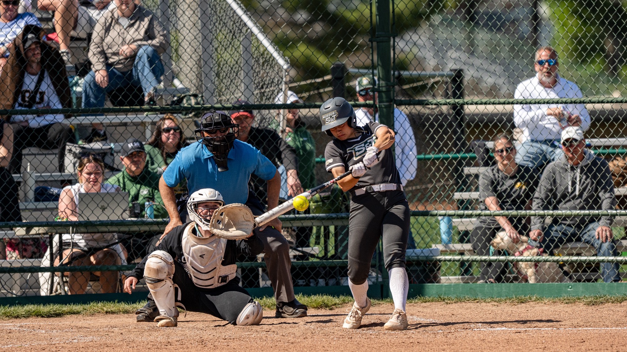 Missouri S&T shortstop Taylor Nelson making contact with the ball at bat with the Quincy catcher and umpire behind her, as the crowd supports in the background. Nelson is sporting the grey S&T softball jersey.