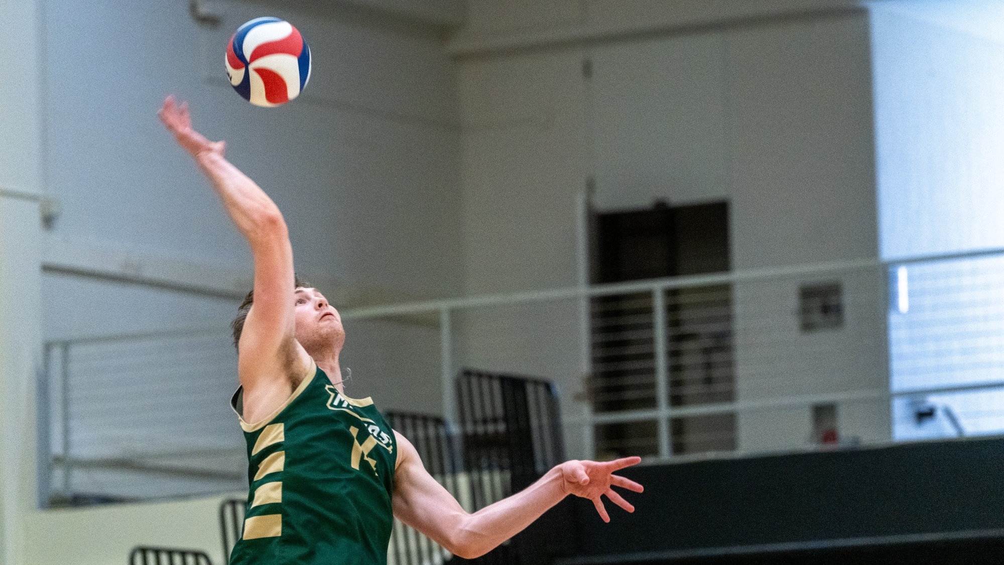Aaron Sallade of the Missouri S&T Miners men's volleyball team is photographed from the waist up during a jump serve. The ball is visible above his head and his right arm is back to swing at the ball. He is wearing a green Miners jersey with gold trim.