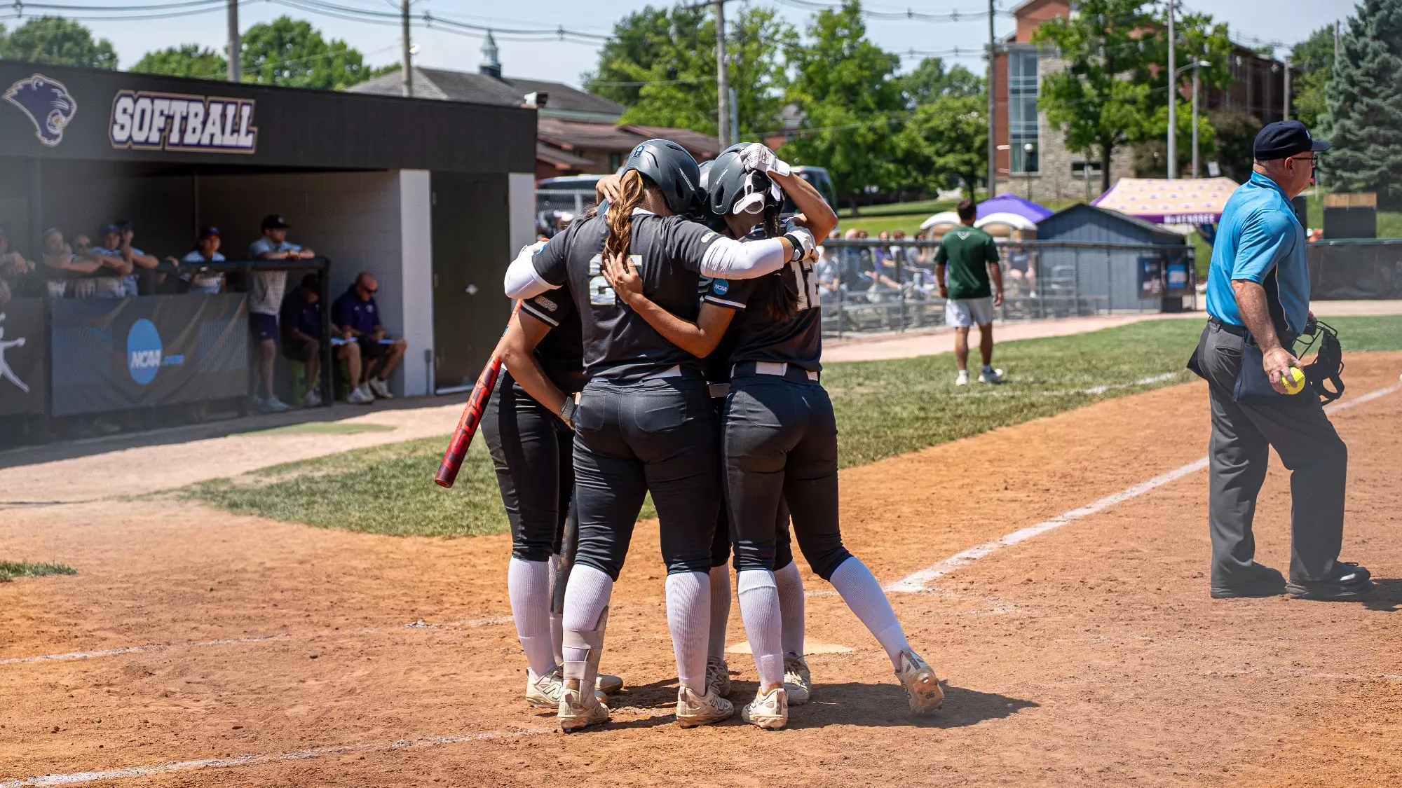 Missouri S&T softball players celebrate a home run during the NCAA Midwest Regional at the McKendree Softball Field, huddling together near home plate in grey jerseys, grey pants, and white socks while an umpire stands nearby along the baseline.