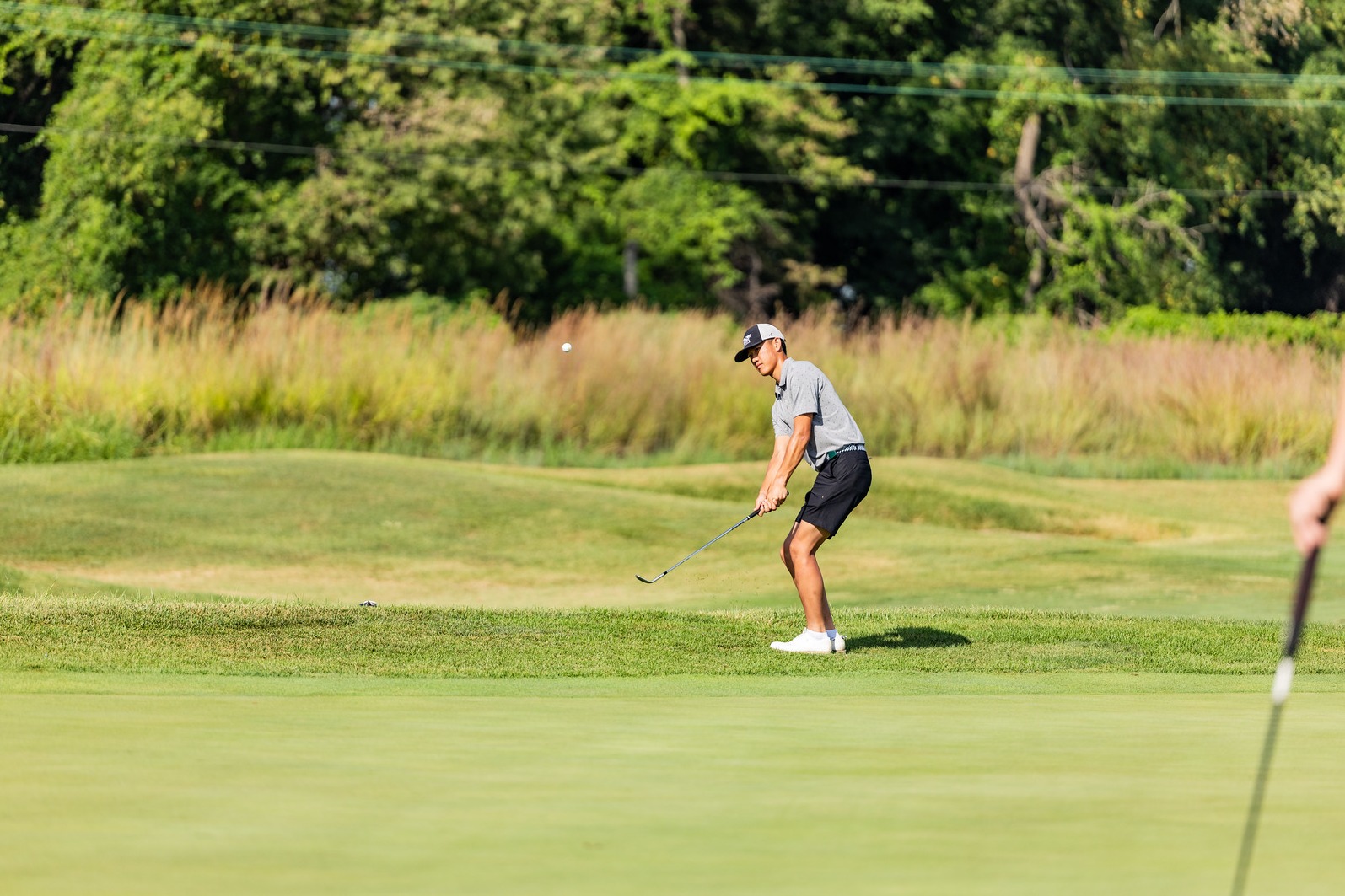 Andy Su for Missouri S&T Men's Golf in a gray polo, black shorts, and a black and white hat with the Missouri S&T Athletics logo on the front, chipping in a golf ball on a beautiful green golf course