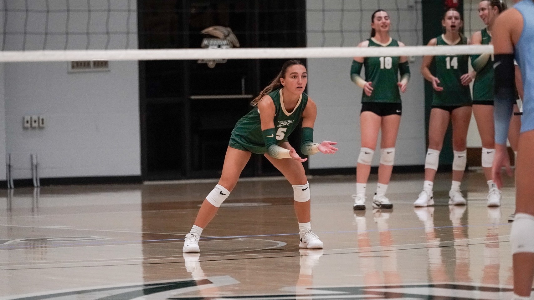 Chelsea Plunkett of Missouri S&T women's volleyball photographed in an athletic stance ready to receive a serve during a match in Gibson Arena