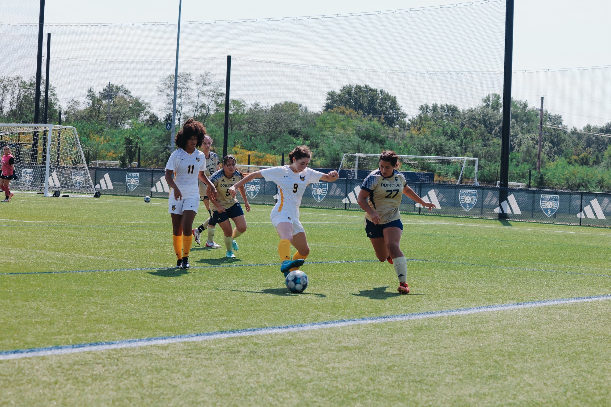 wsoc-vs-faith