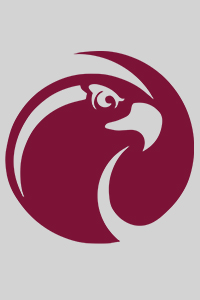 Headshot placeholder, Falcons logo