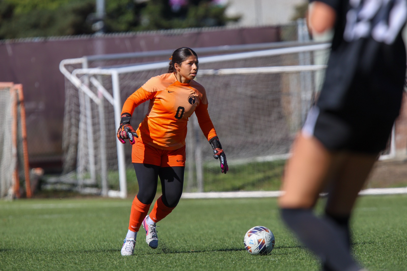 26WSOC_Ramos_Celia