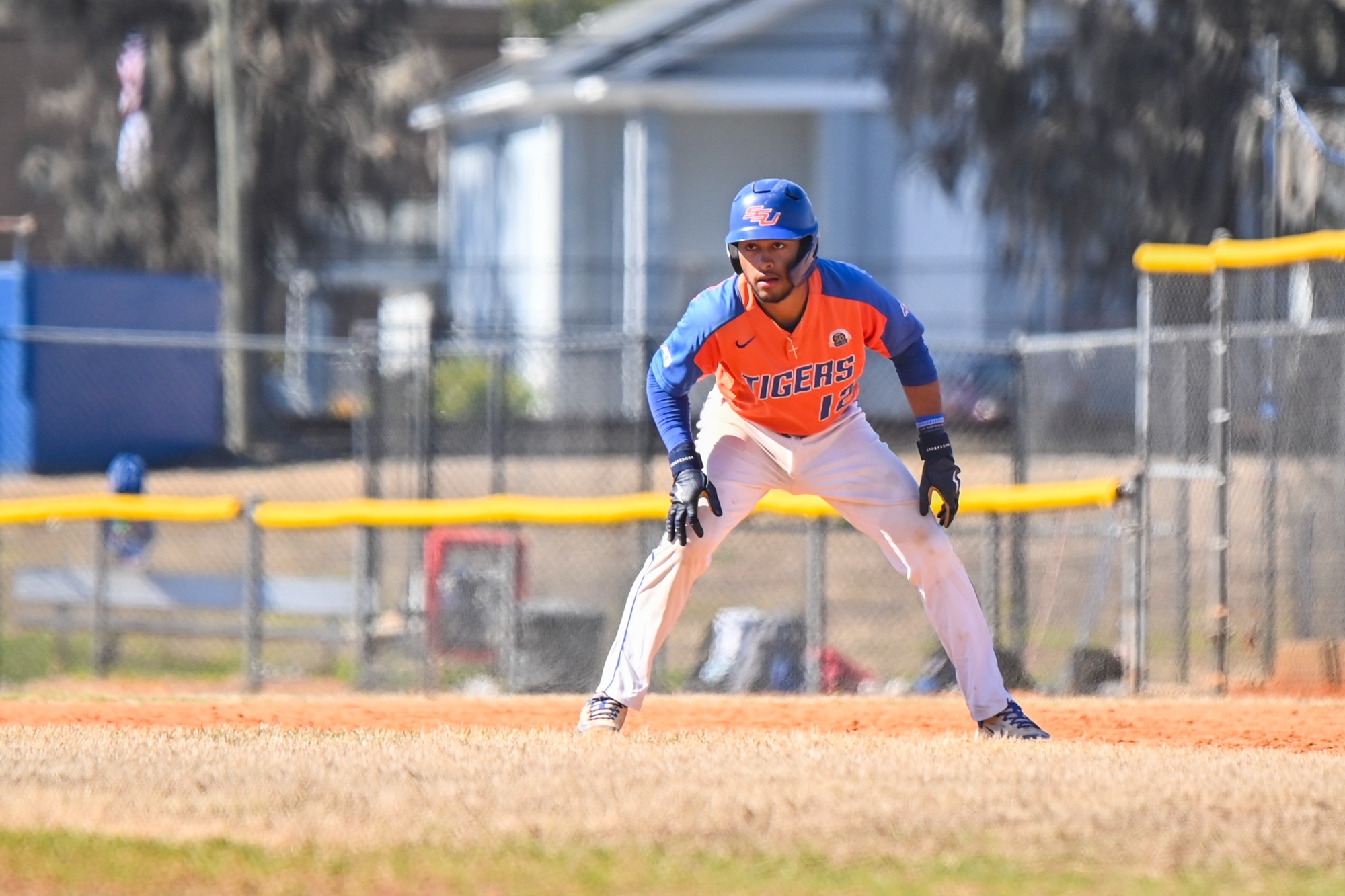 Baseball Series Finale vs. Illinois Springfield