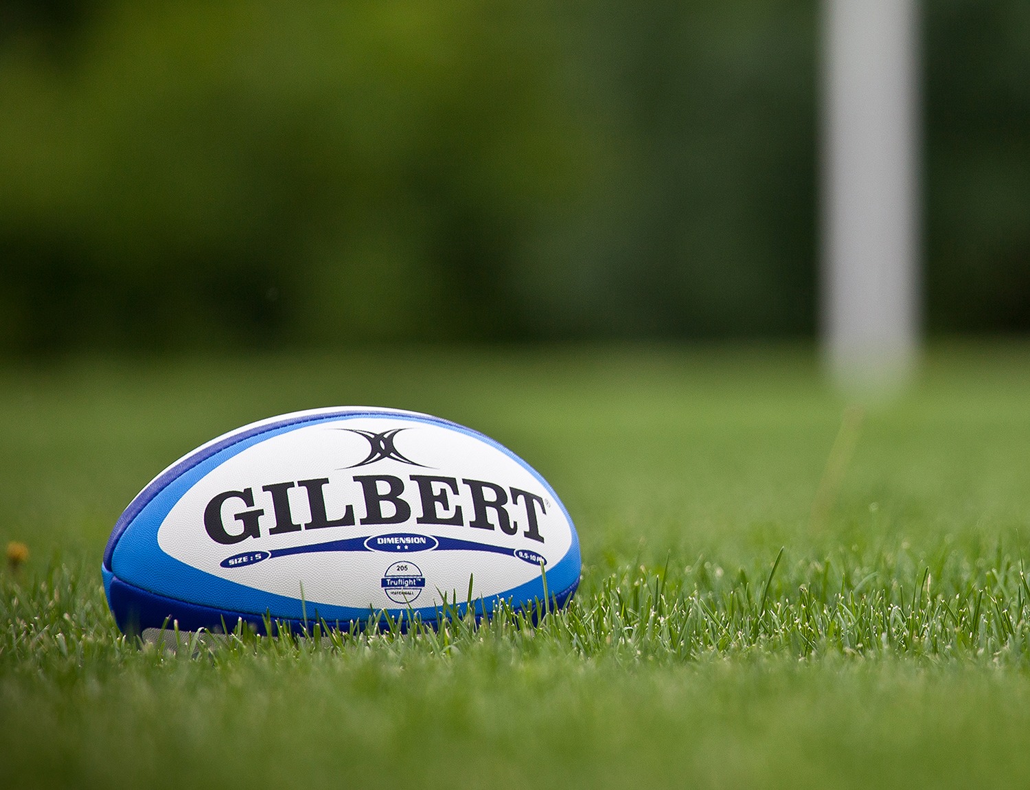 SAC Rugby Stock
