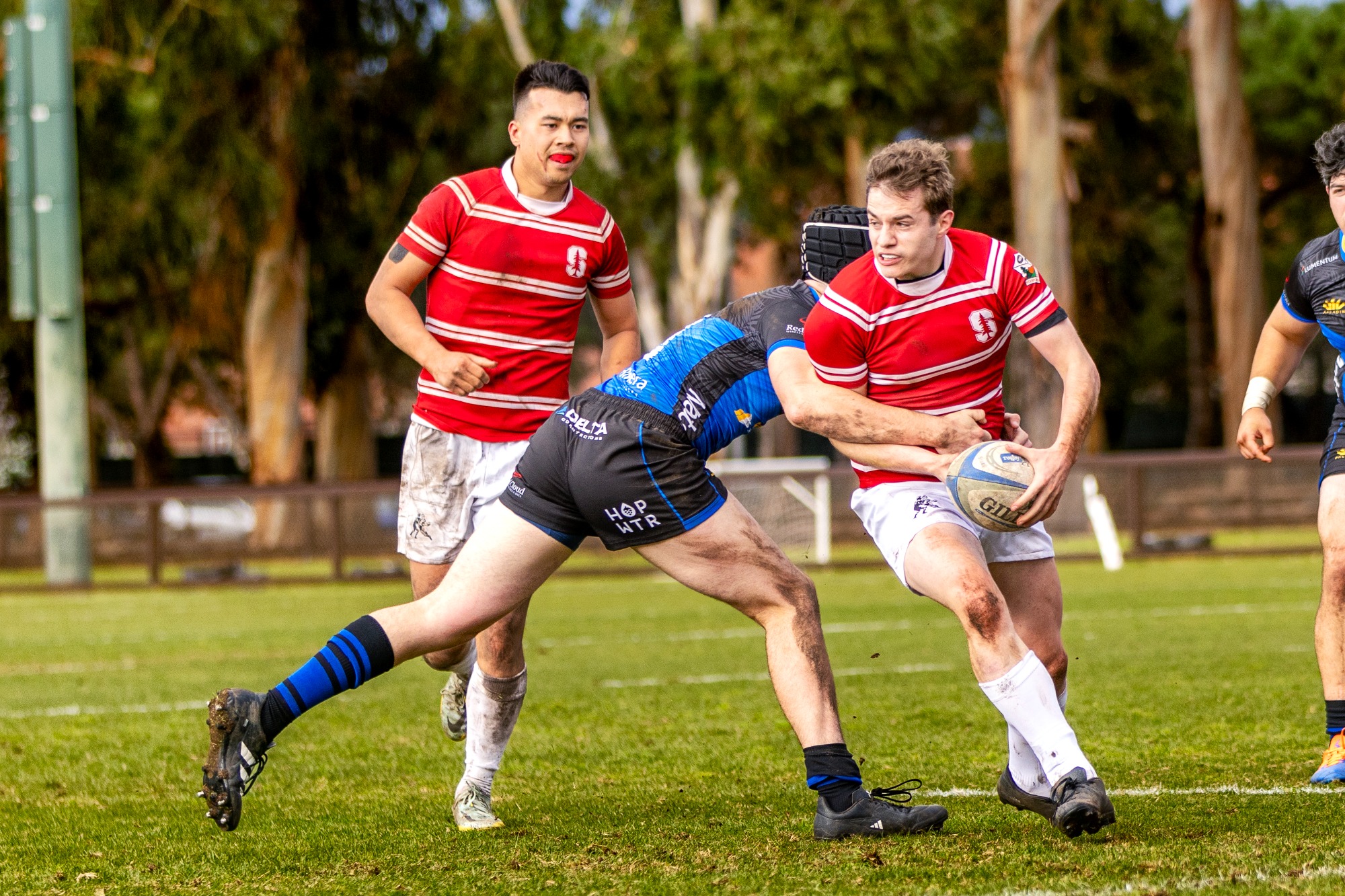 Mackenzie Cobb 202324 Men's Rugby Stanford Recreation