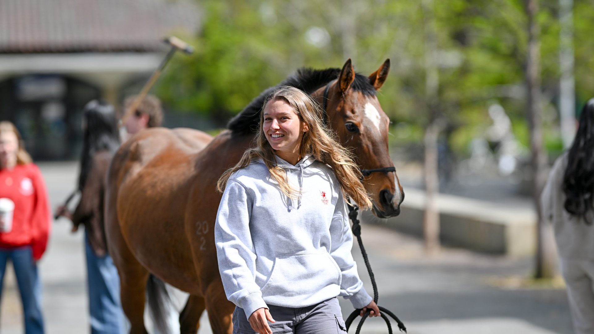 Stanford Polo Retired Horses of the Year Appreciation