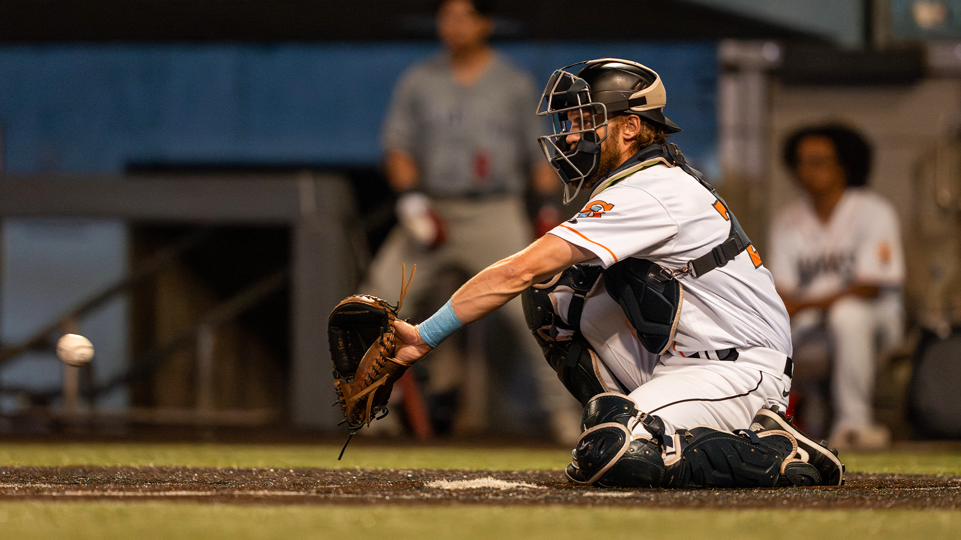 Scheffler-Story-Star25