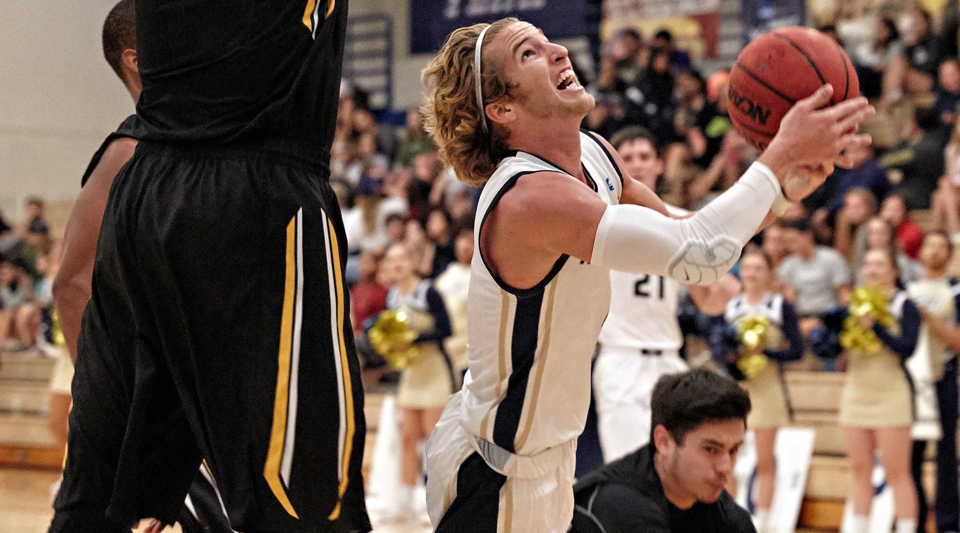 Landon Goesling Men's Basketball St. Edward's University Athletics