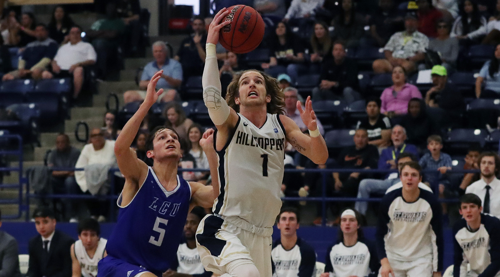 Landon Goesling Men's Basketball St. Edward's University Athletics