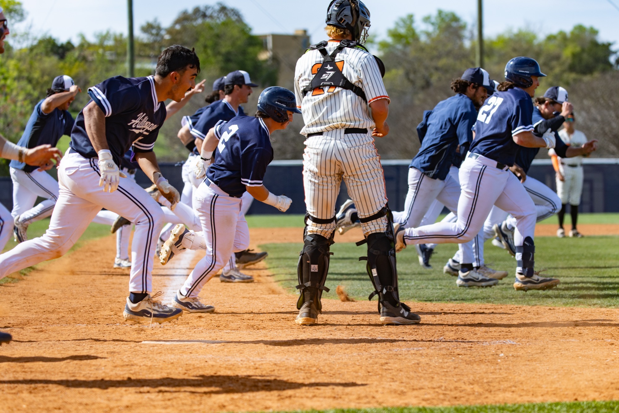 Baseball Wins on Ty Murray's WalkOff Single St. Edward's University