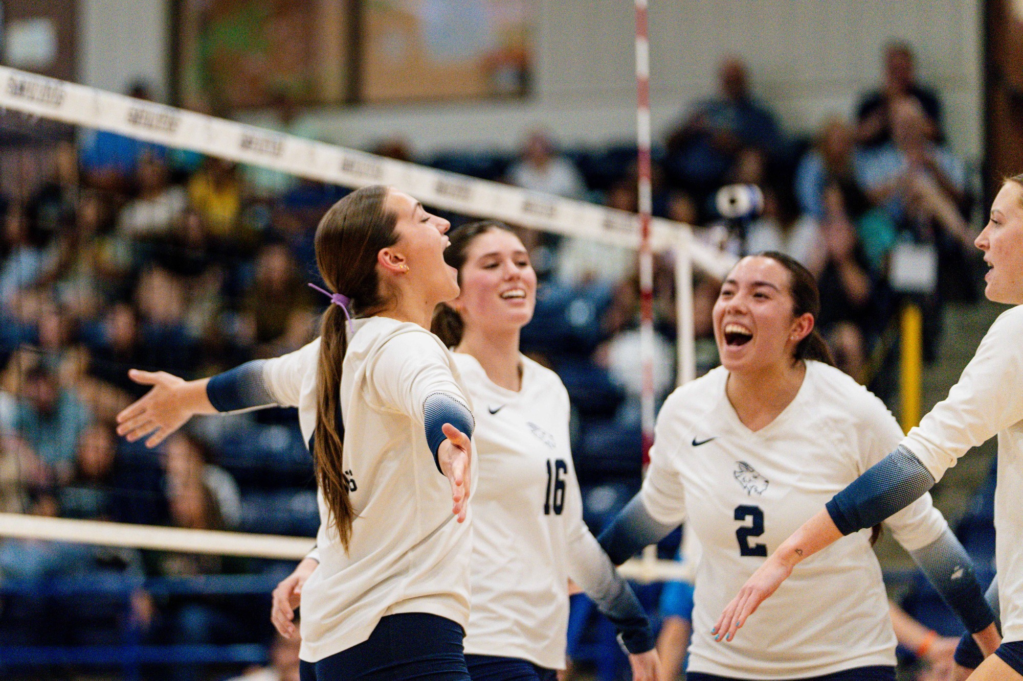 Volleyball celebrate