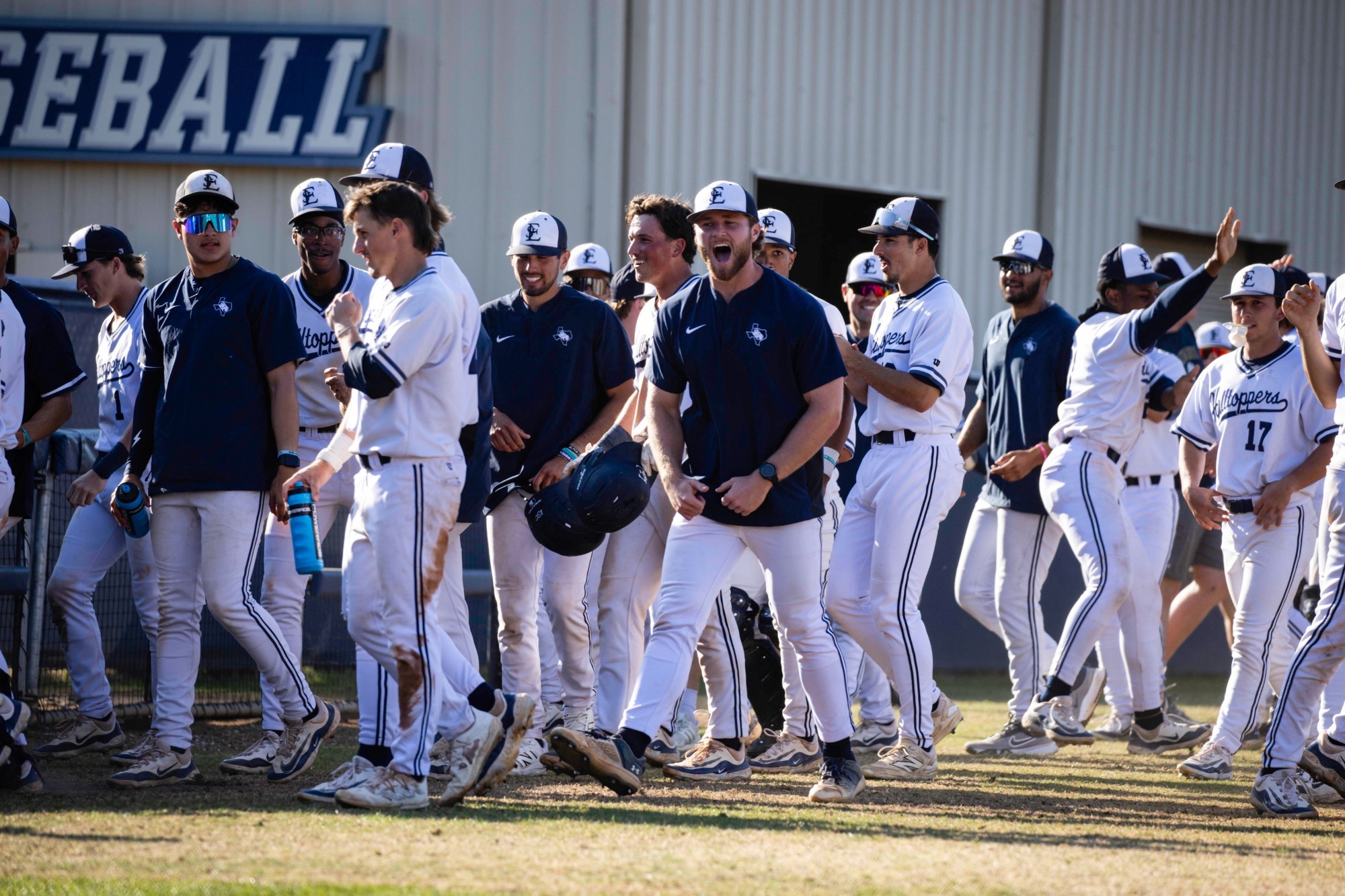 Baseball celebration