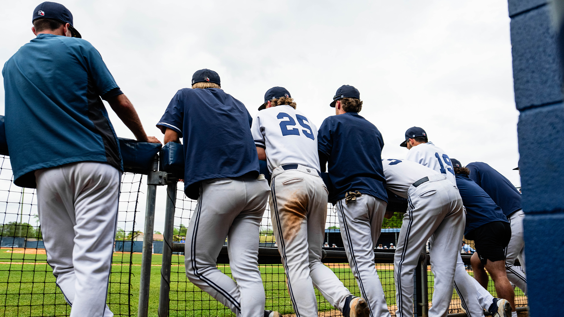 Baseball Photo