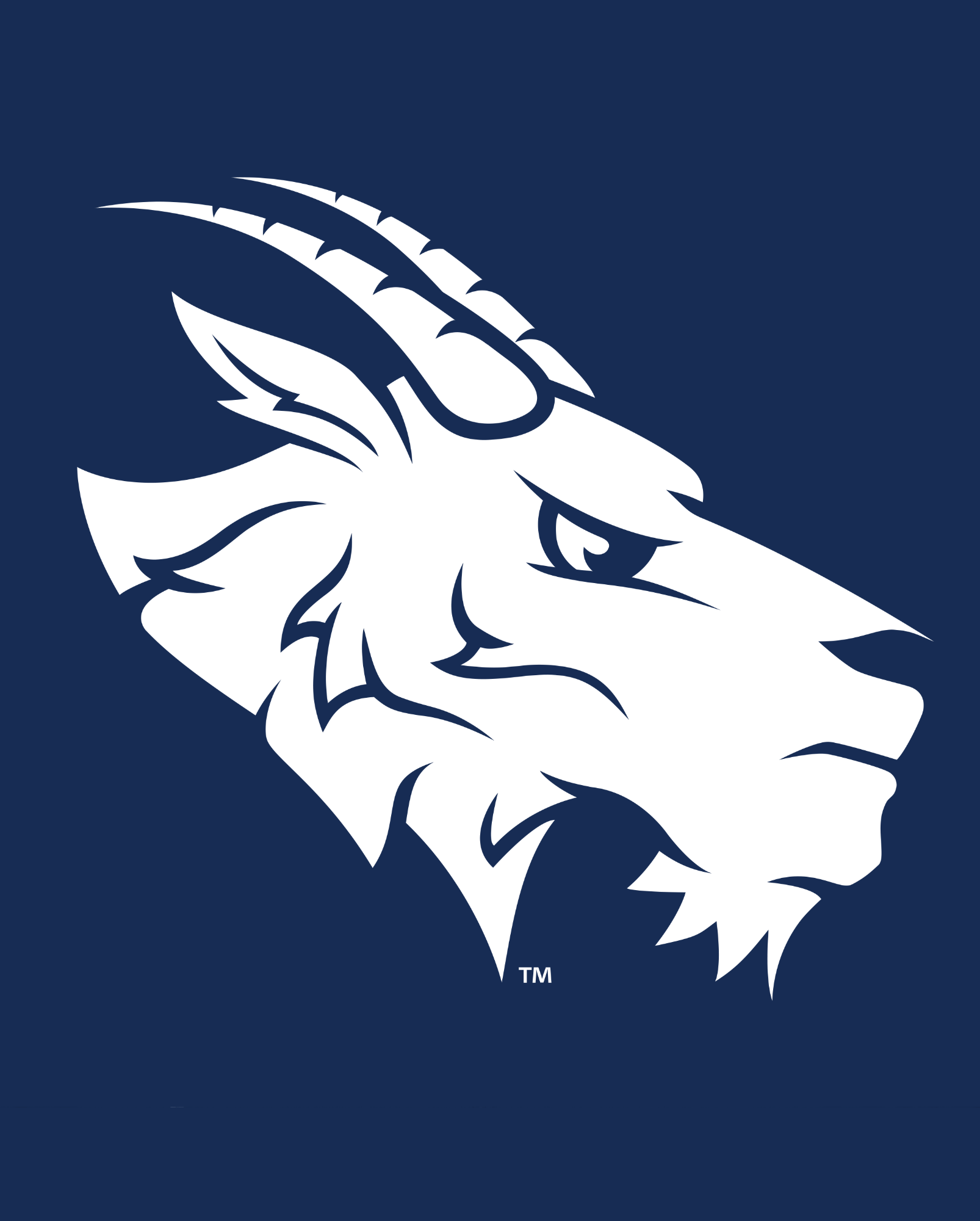 Blue Roster Headshot