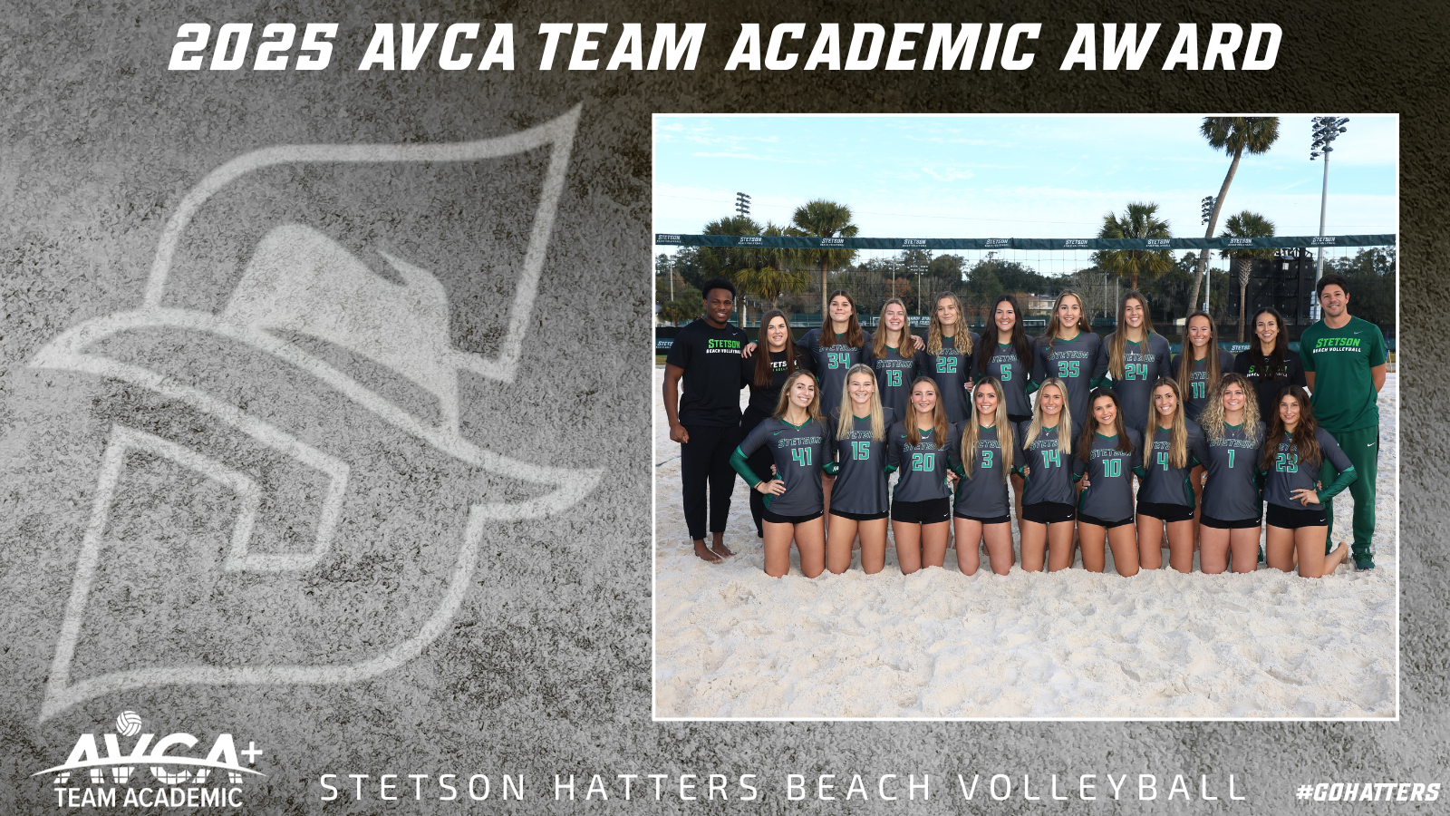 BVB AVCA Team Academic Award