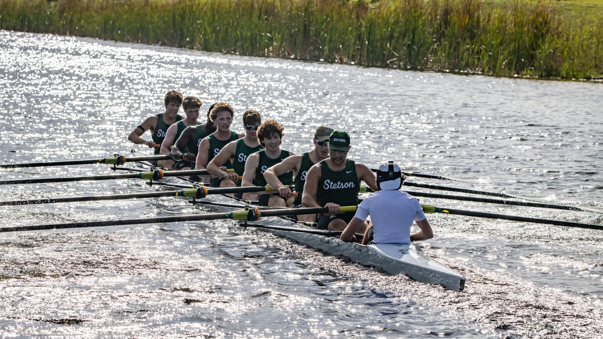 Men's Rowing