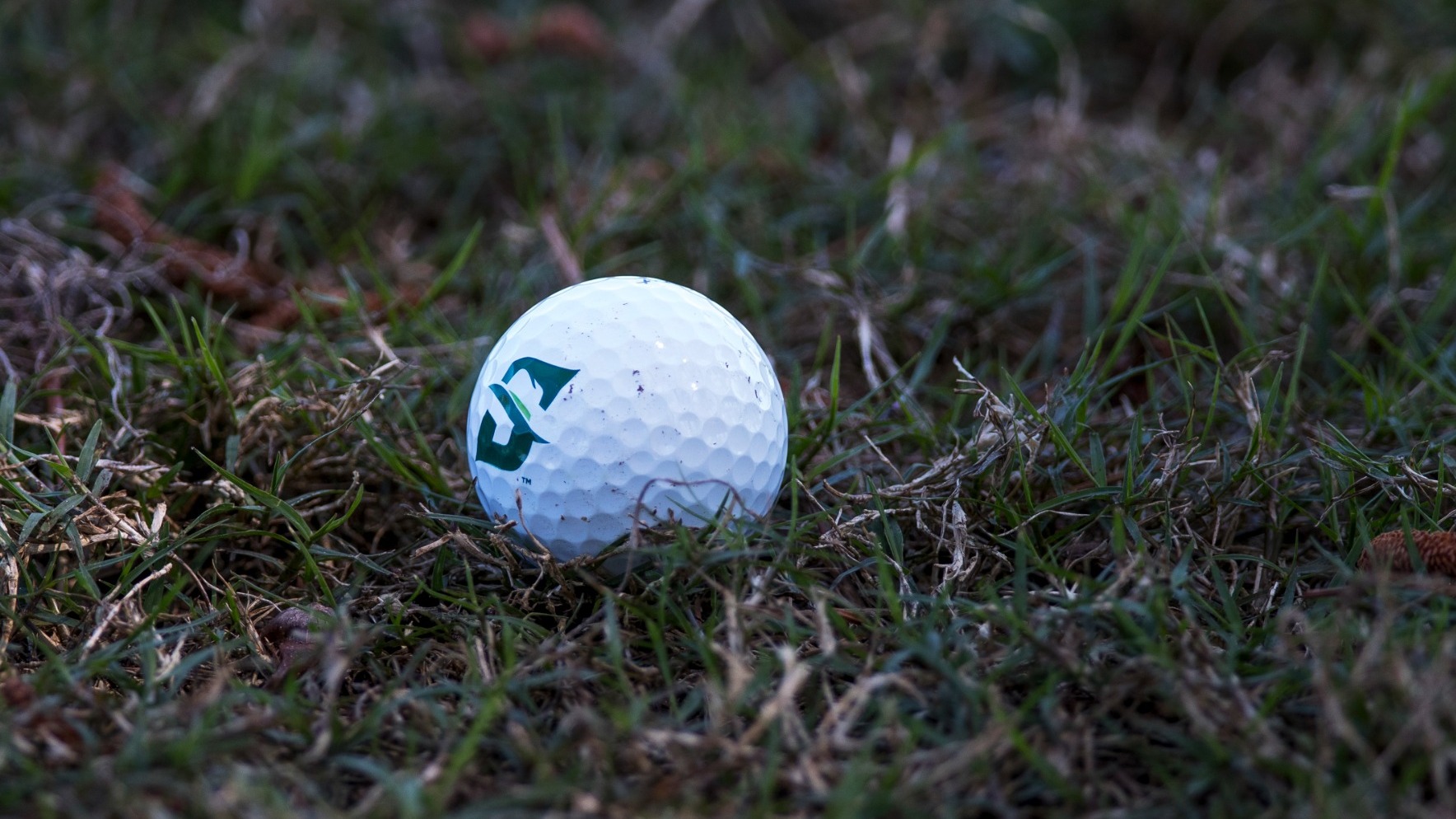 Golfball