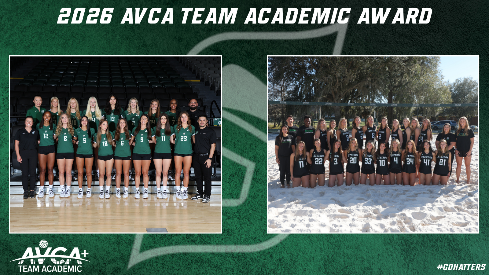 AVCA Team Academic Award