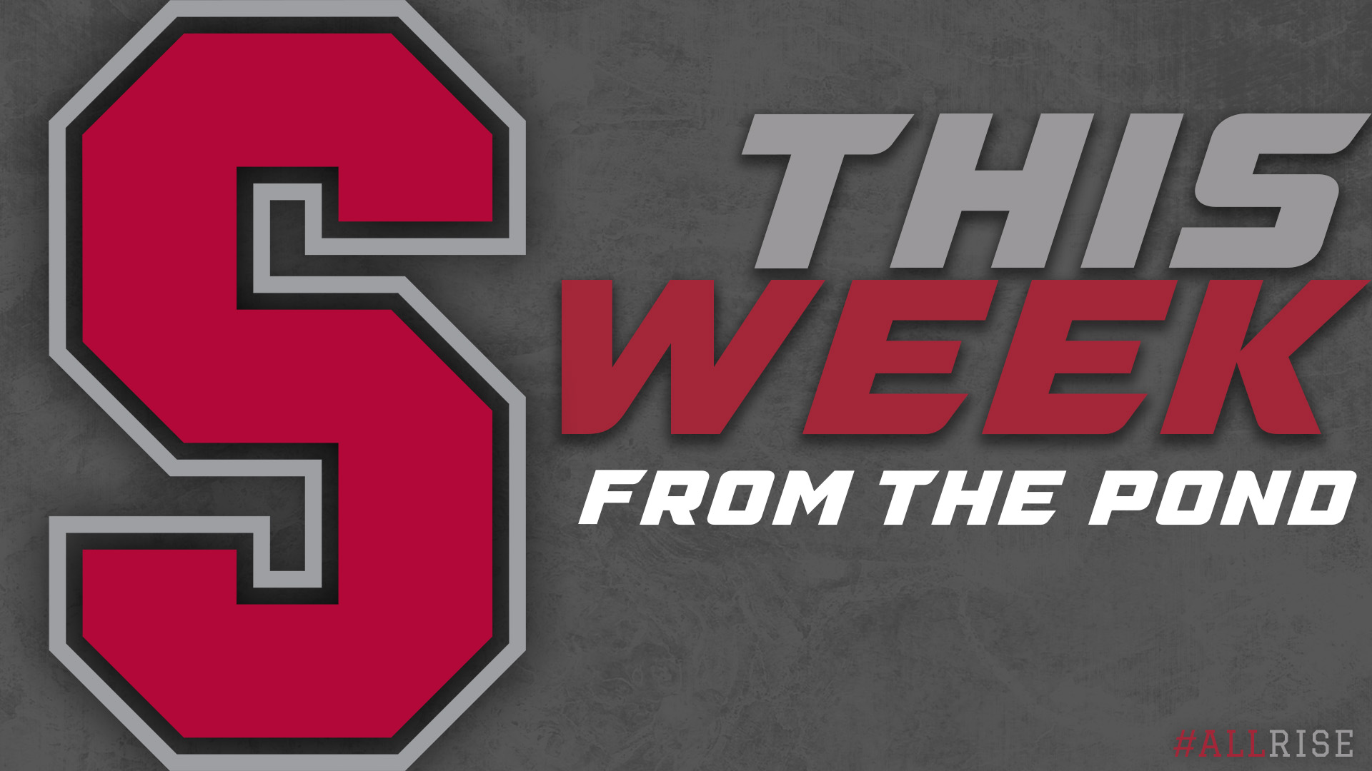 This Week From the Pond