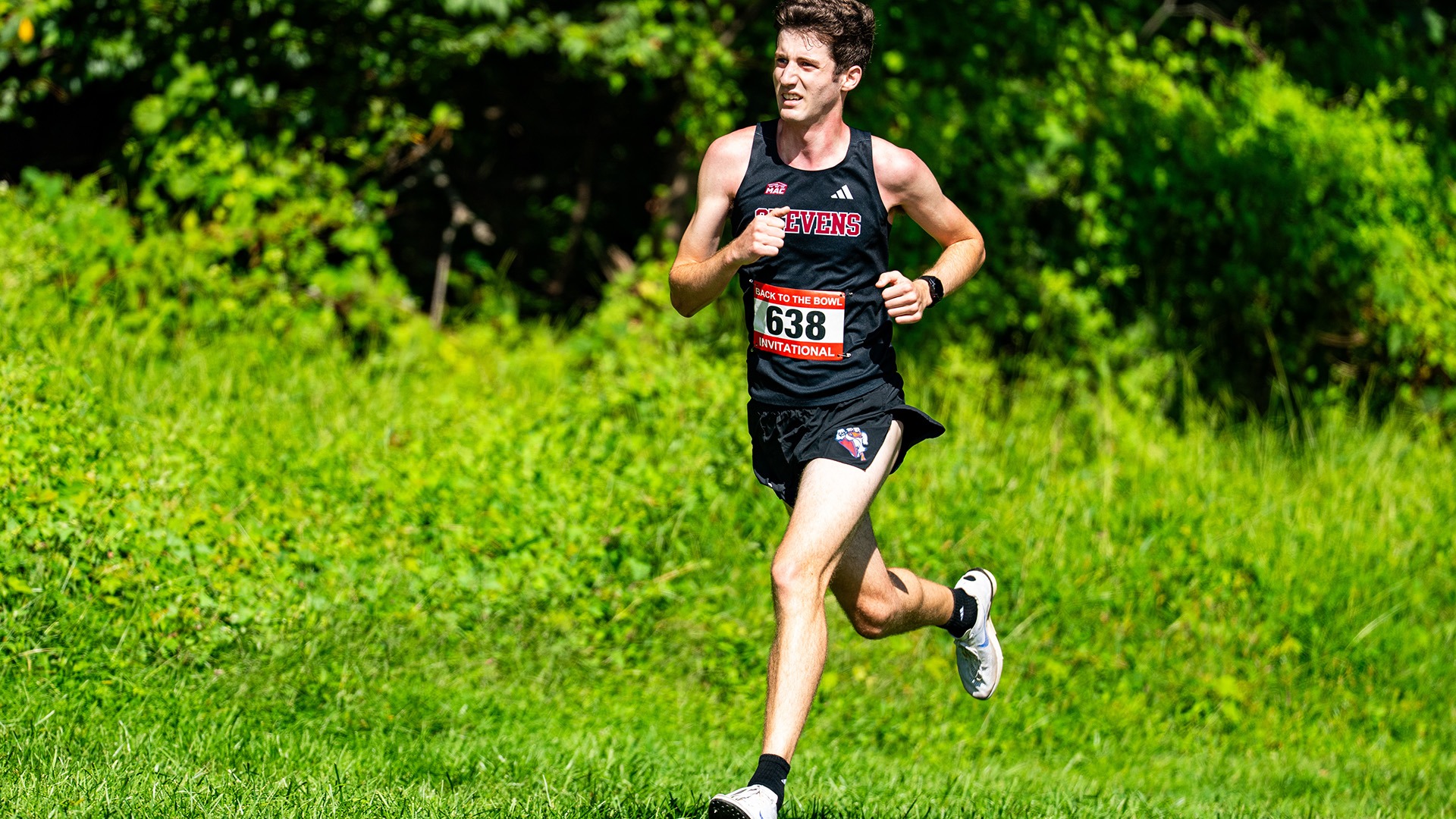 Ryan paradine
