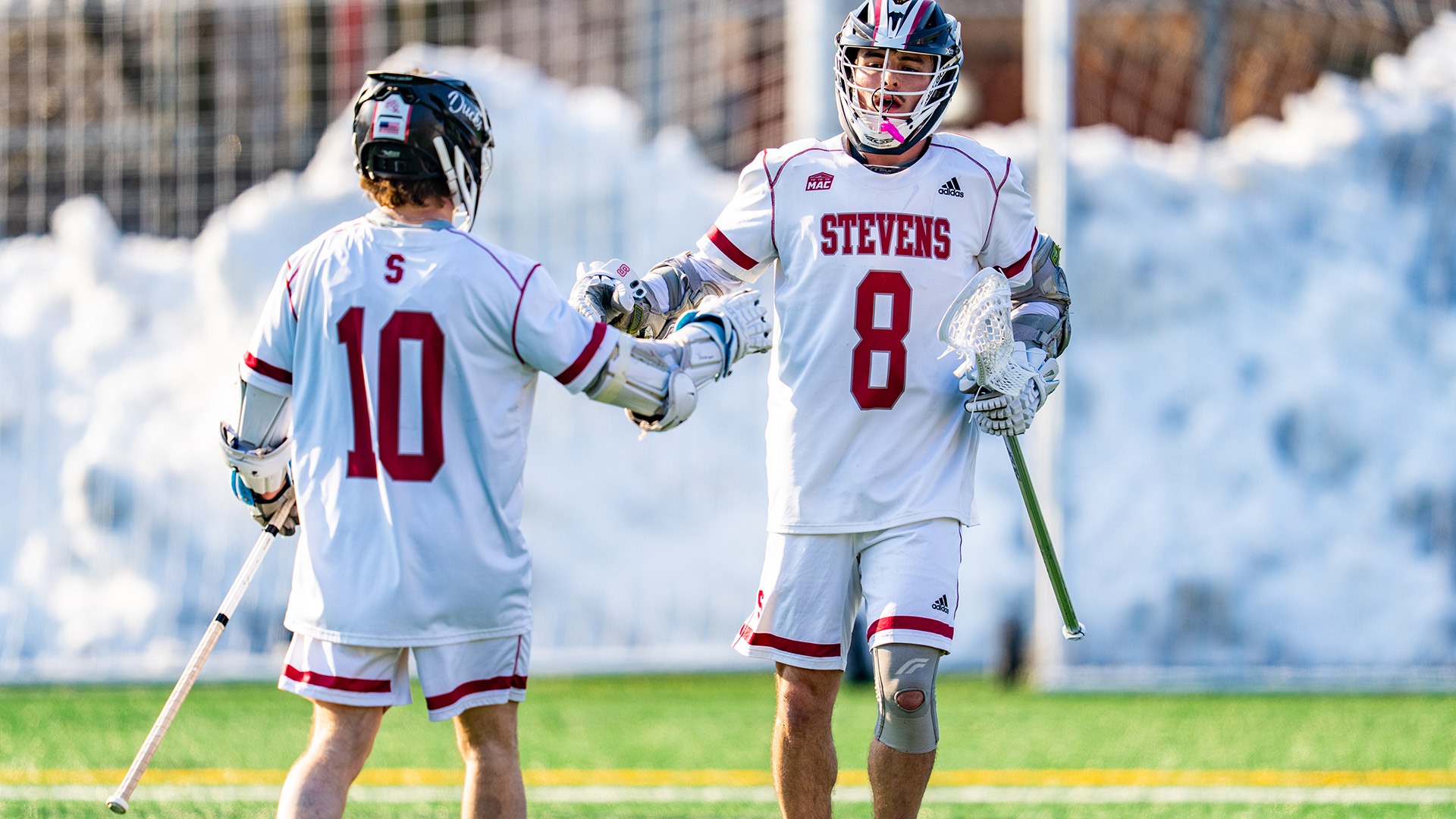 Tenaglia and Pergola