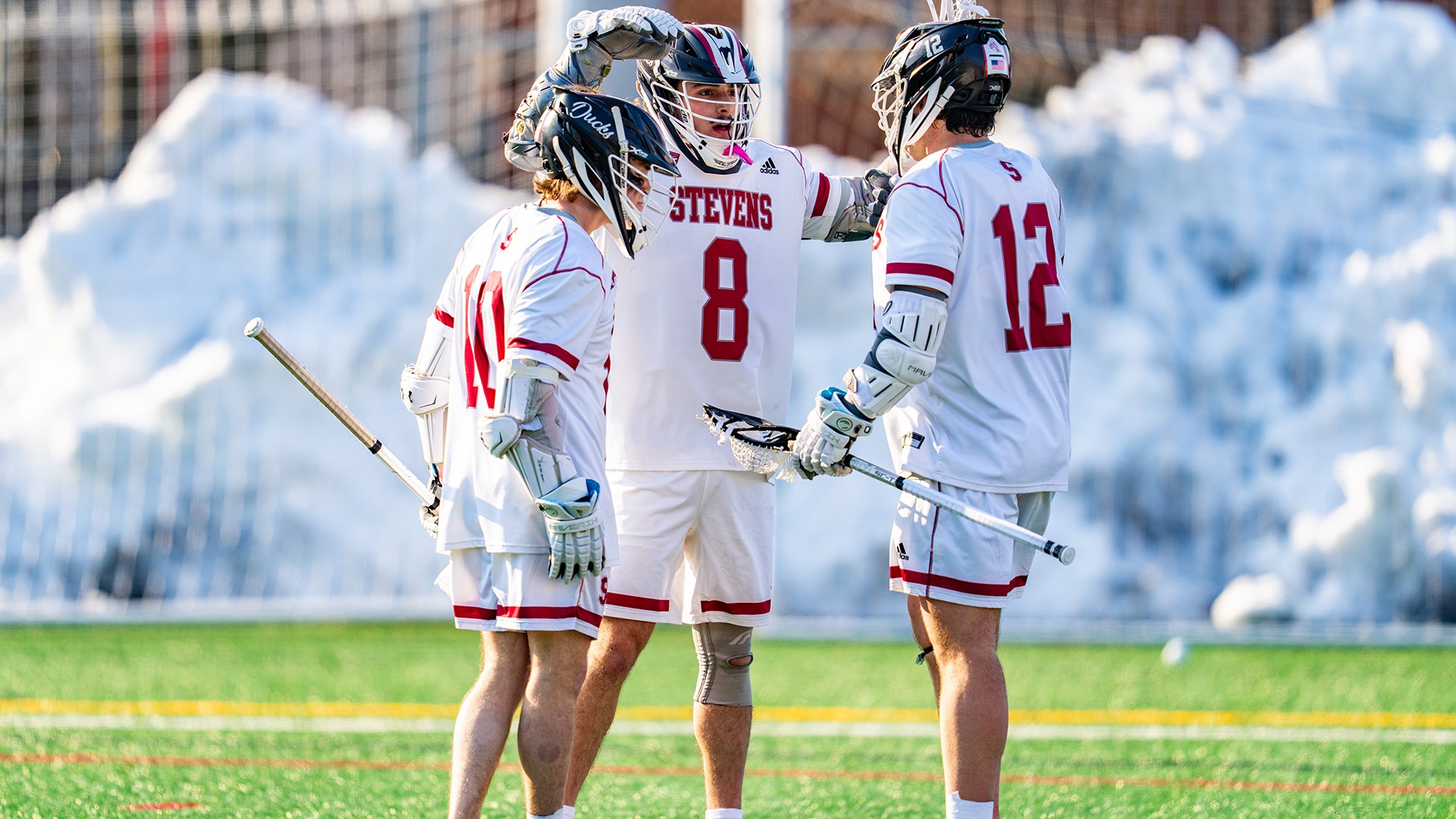 Pergola Tenaglia Labartino